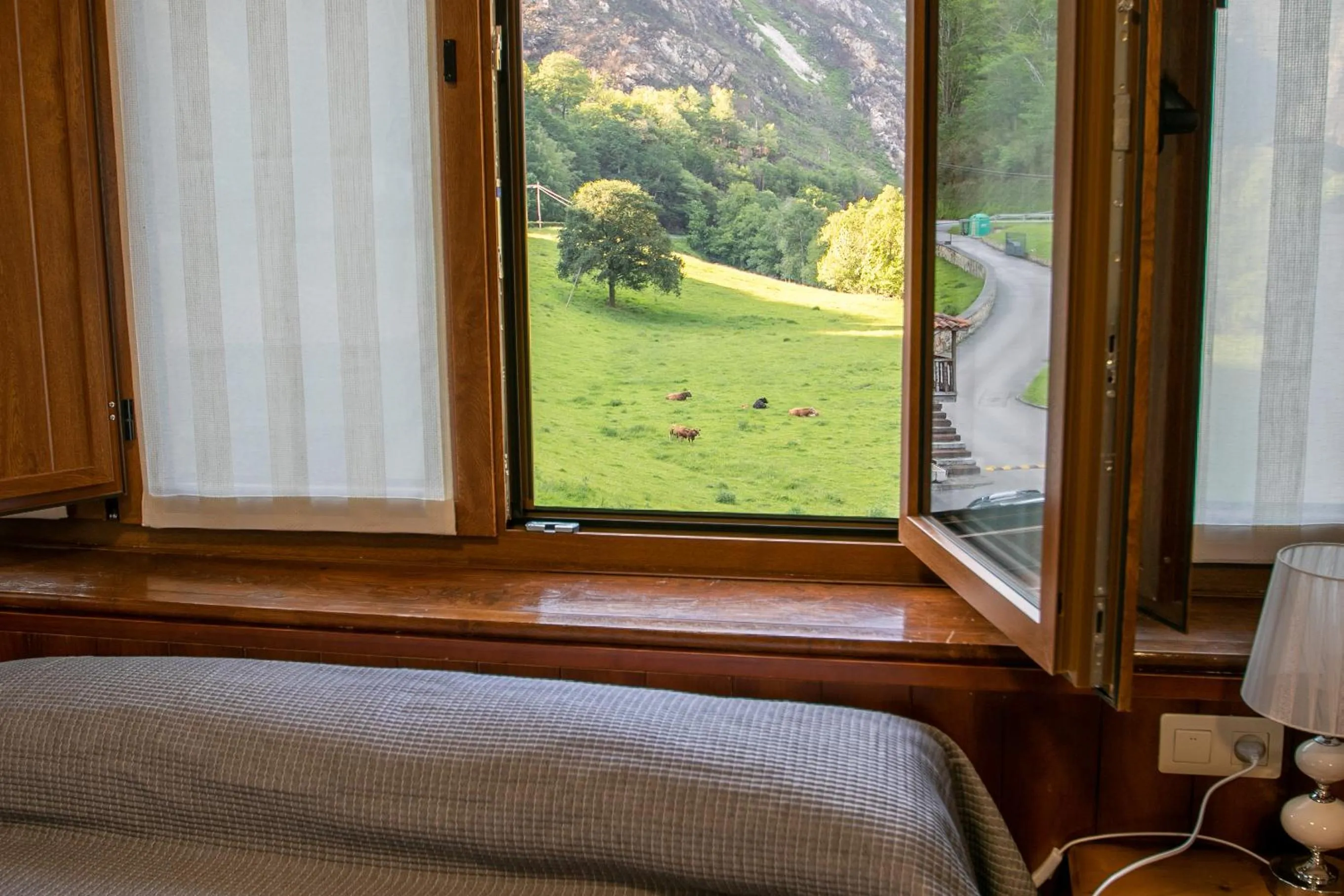 Garden view in La Casona de Rey