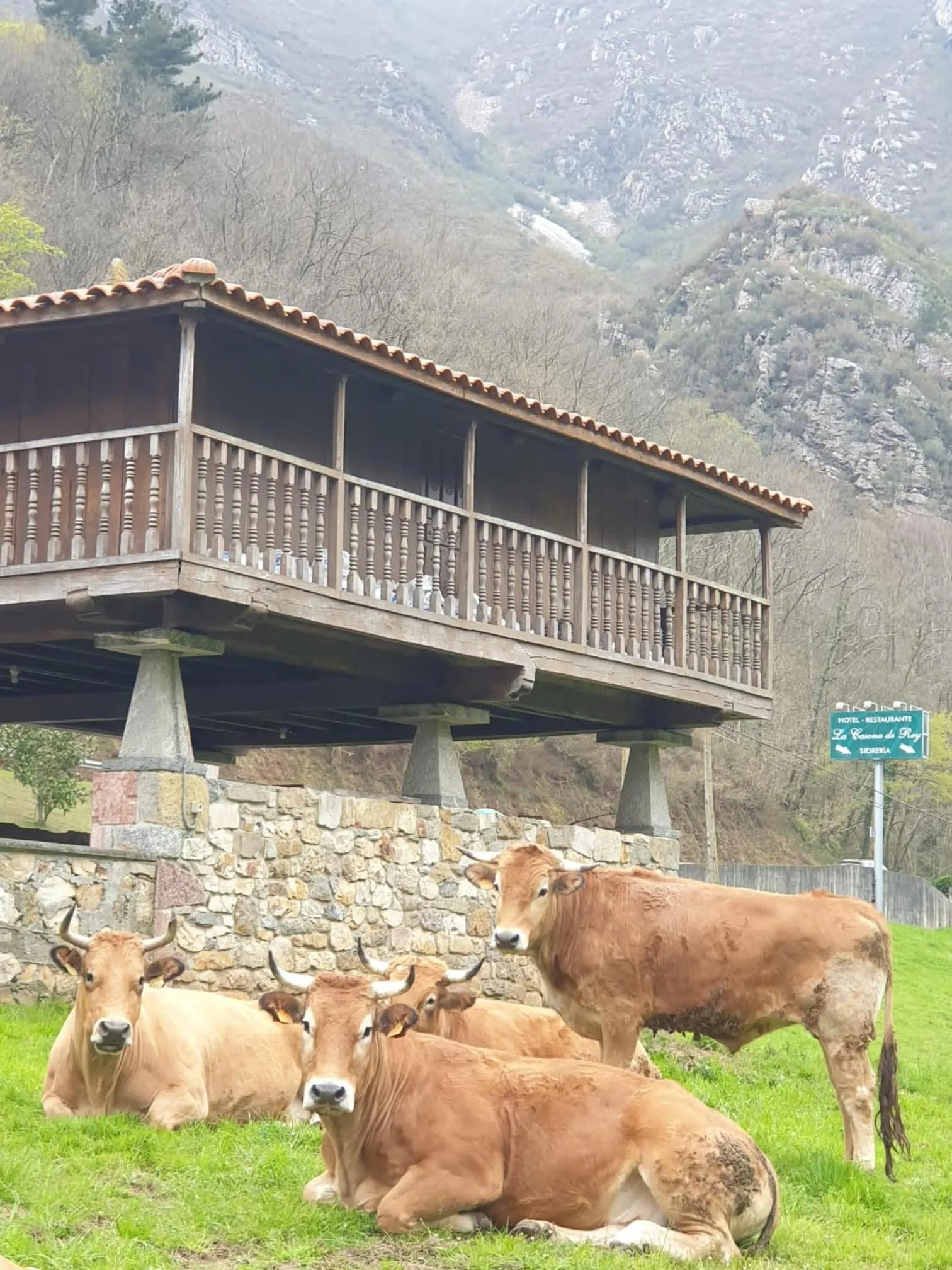 Animals in La Casona de Rey