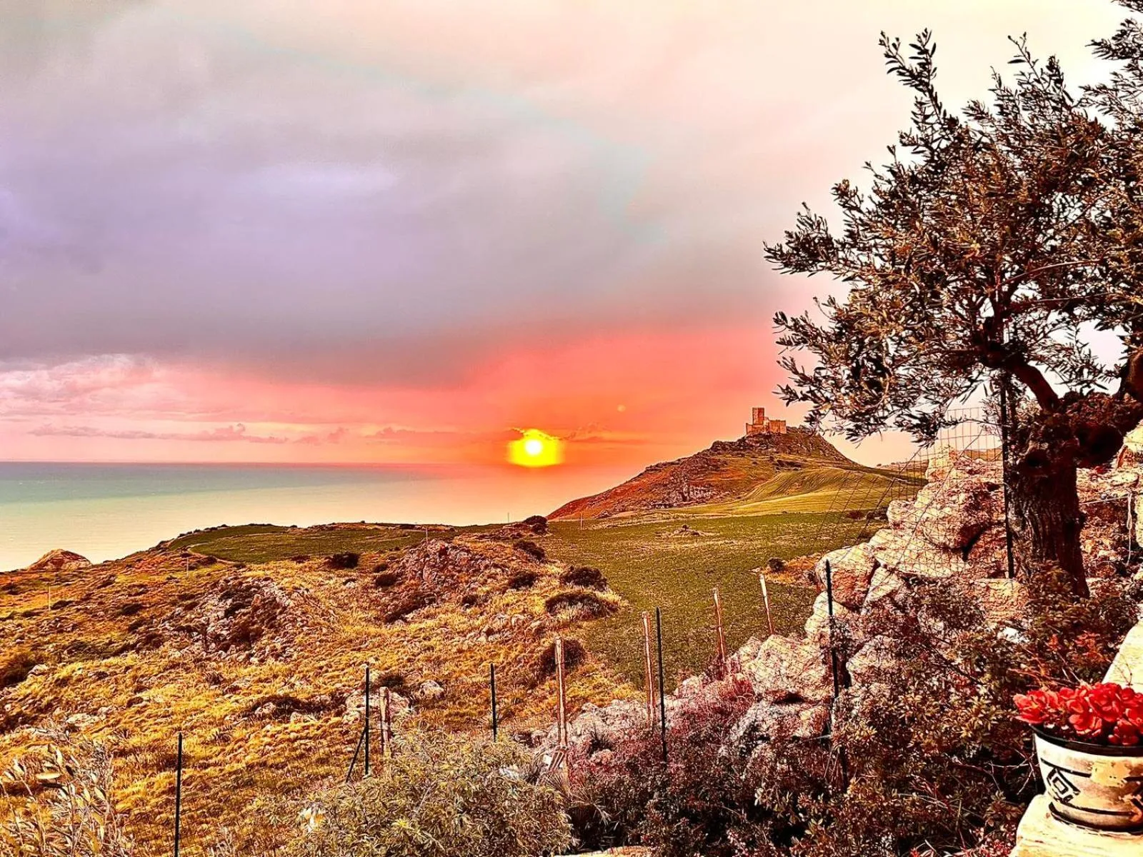 Natural landscape in La Collina sul Mare