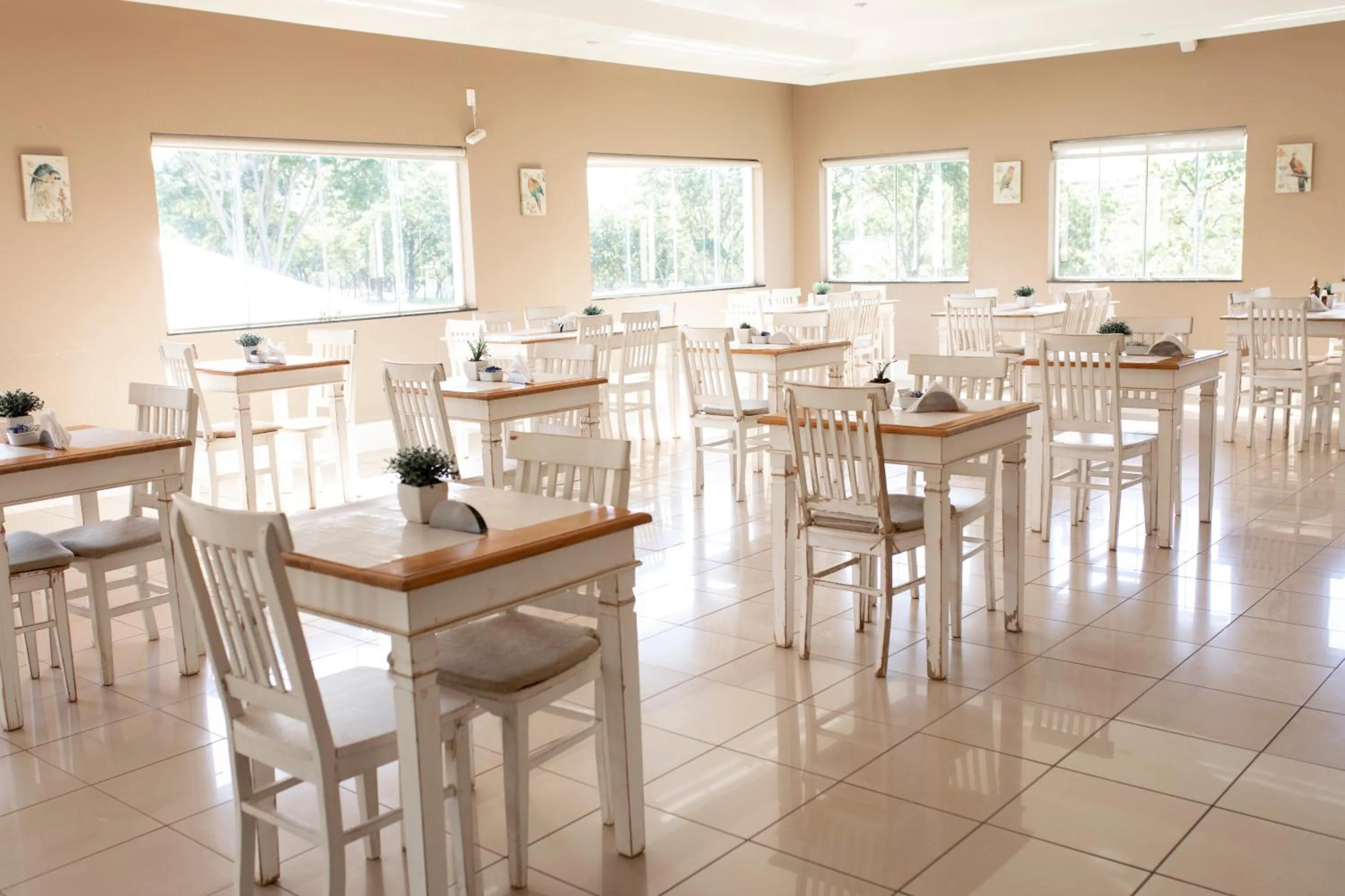 Restaurant/places to eat in Hotel San Paolo