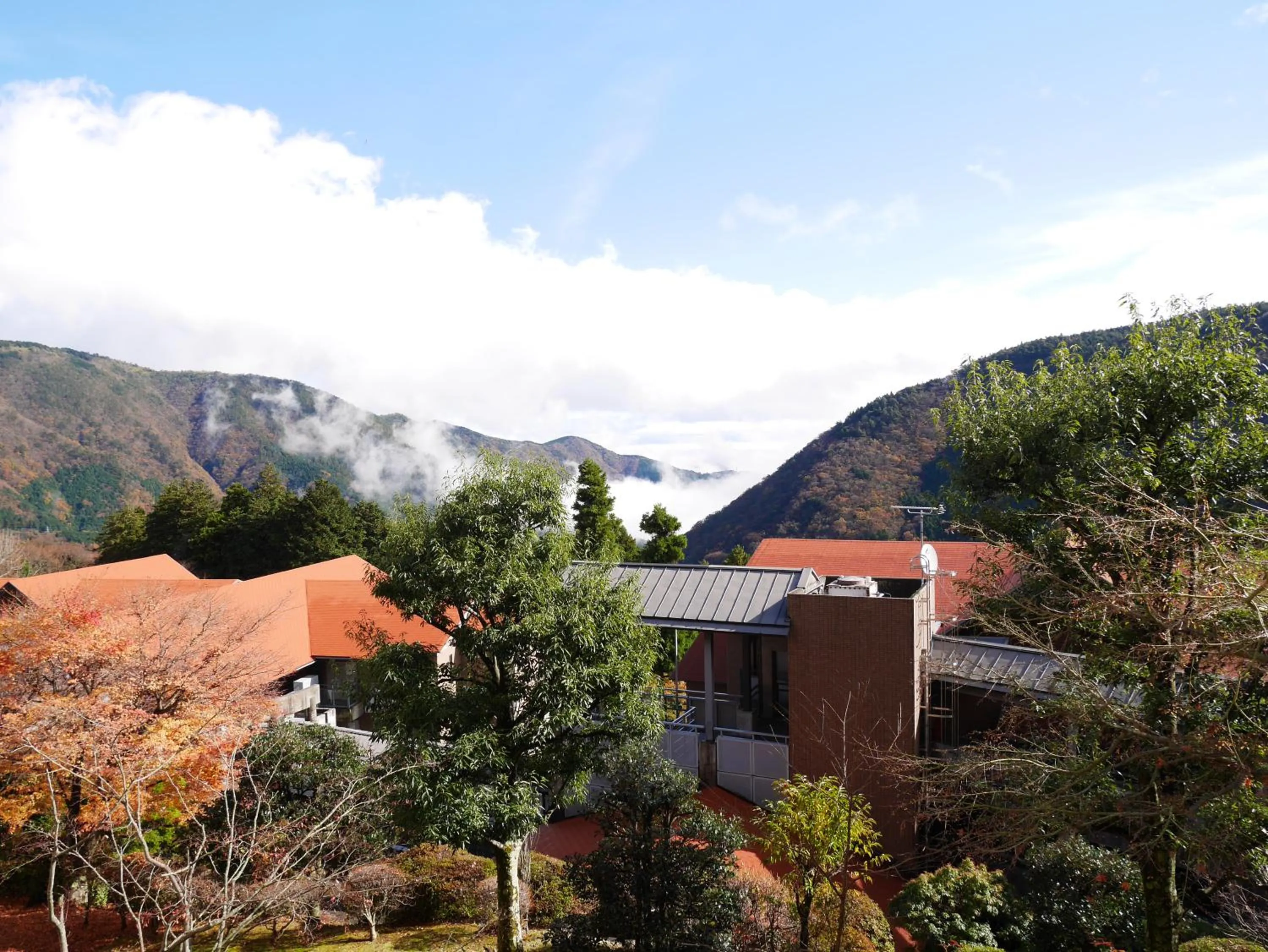 Mountain View in Wisterian Life Club Verde no Mori