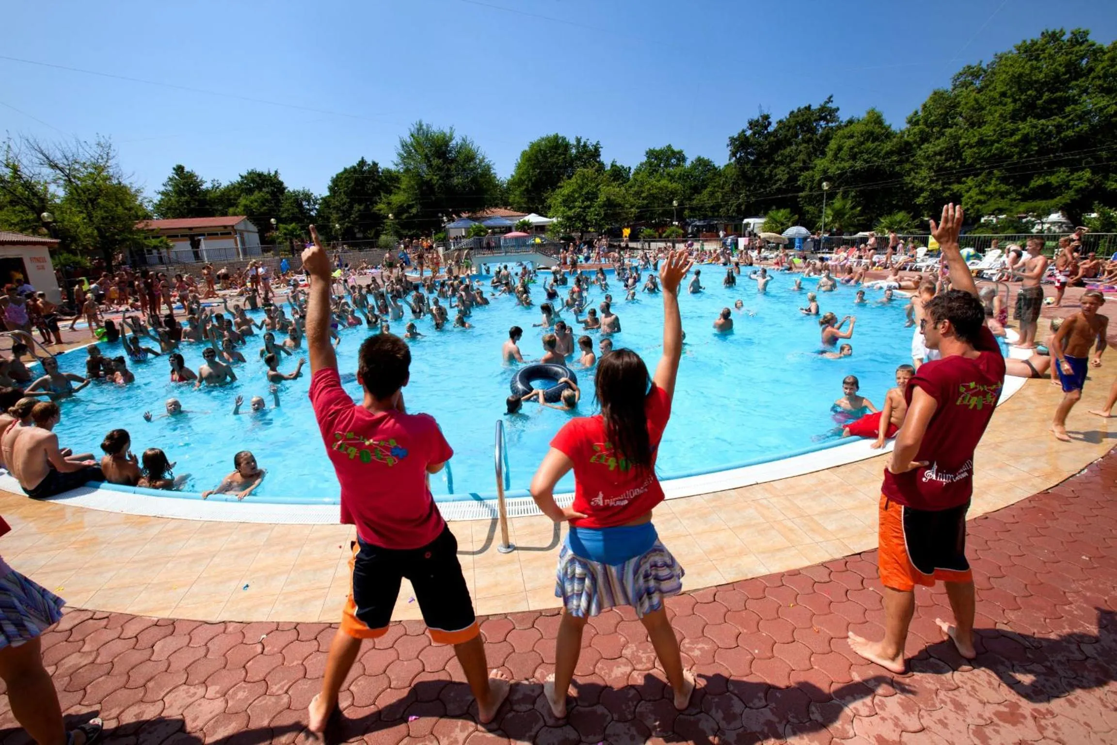 Swimming pool in Mobile Homes Comfort CAPRI Bijela Uvala