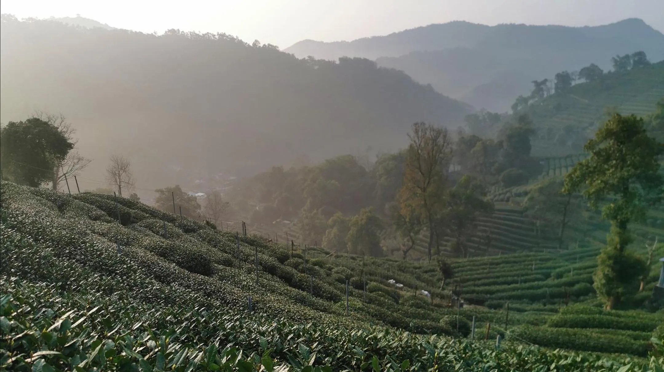 Hiking in Aventree Hotel