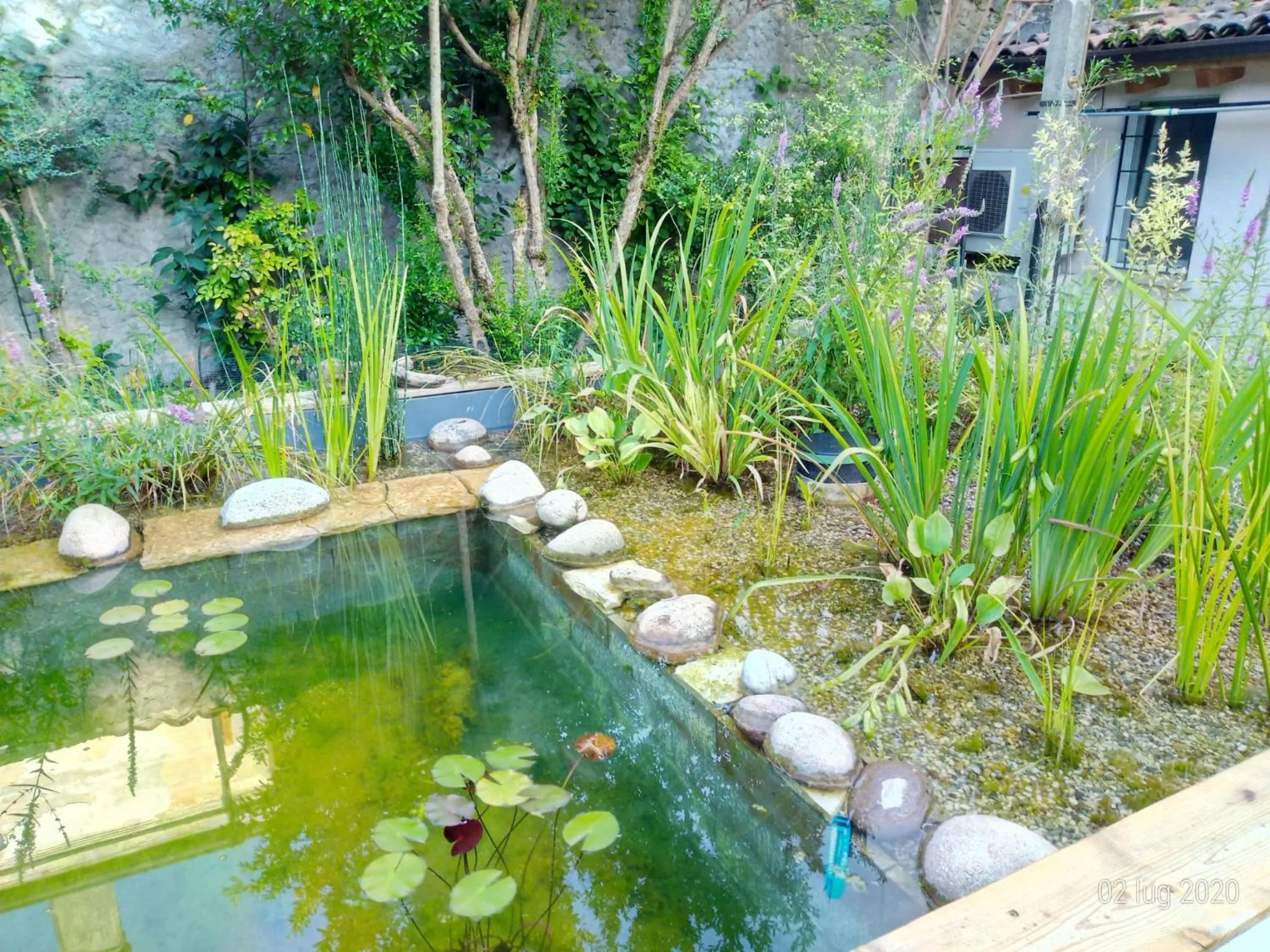 Swimming pool in B&B Le Tortore