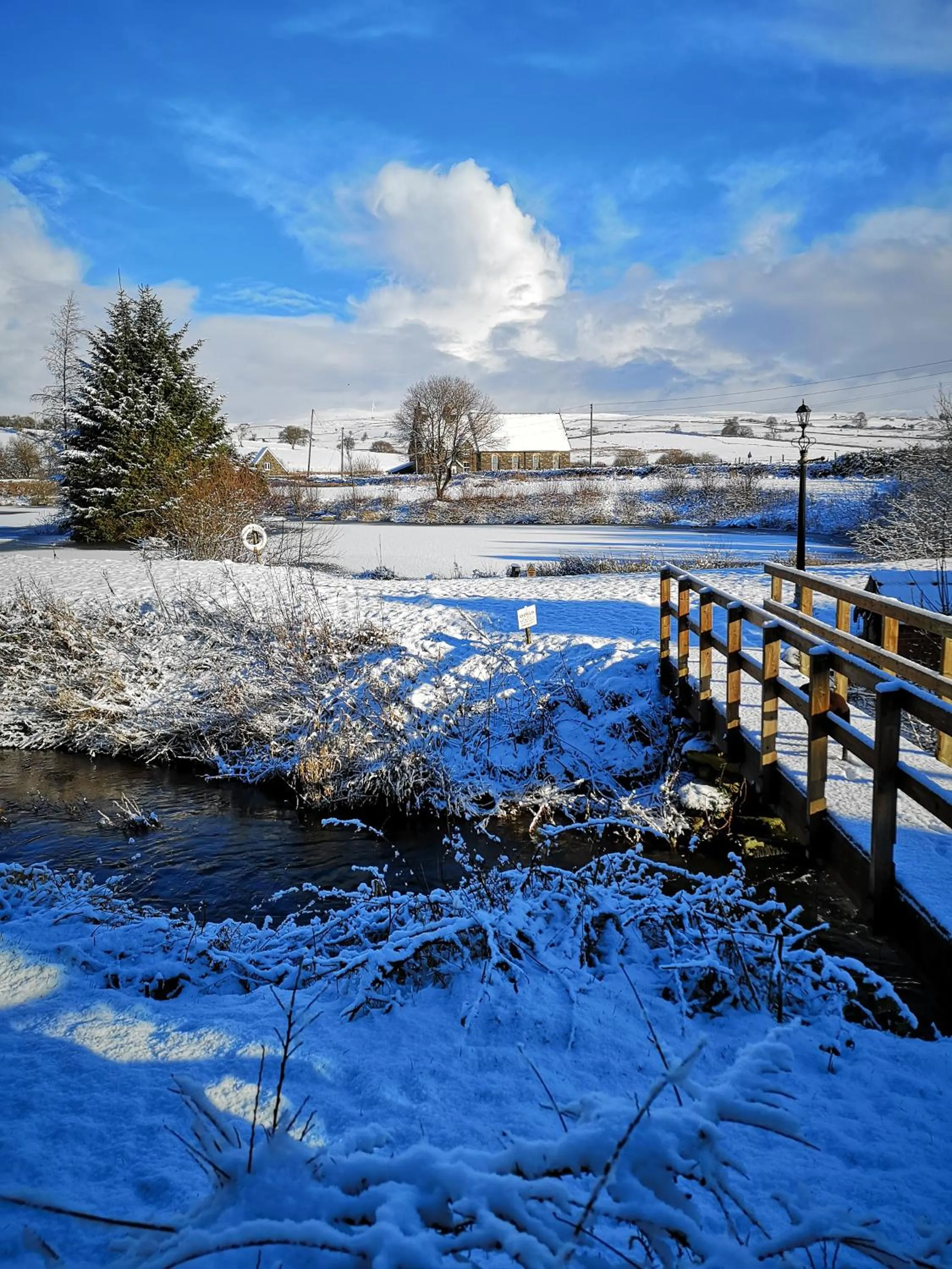 Garden view in Y Giler Arms