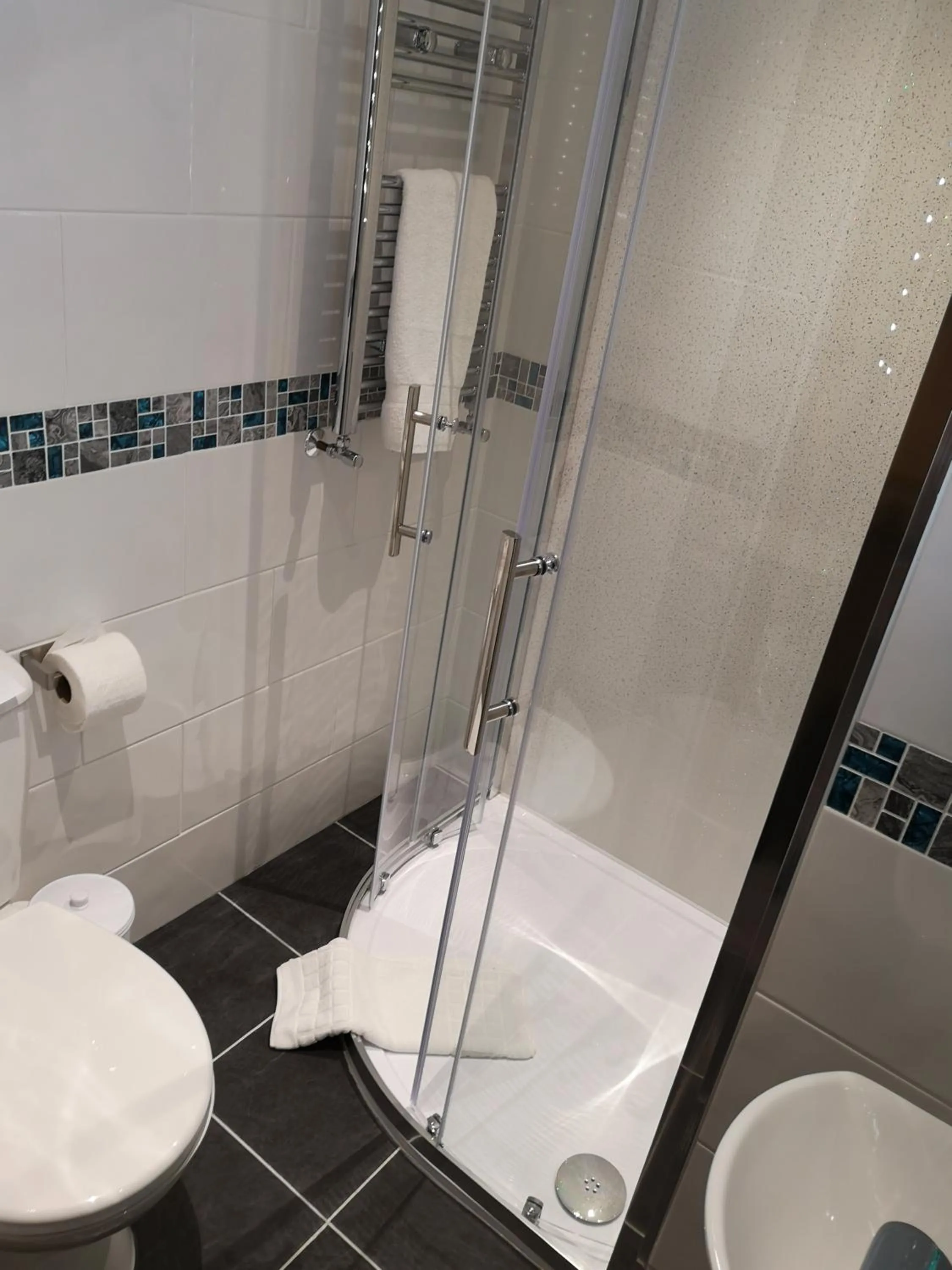 Shower in Y Giler Arms