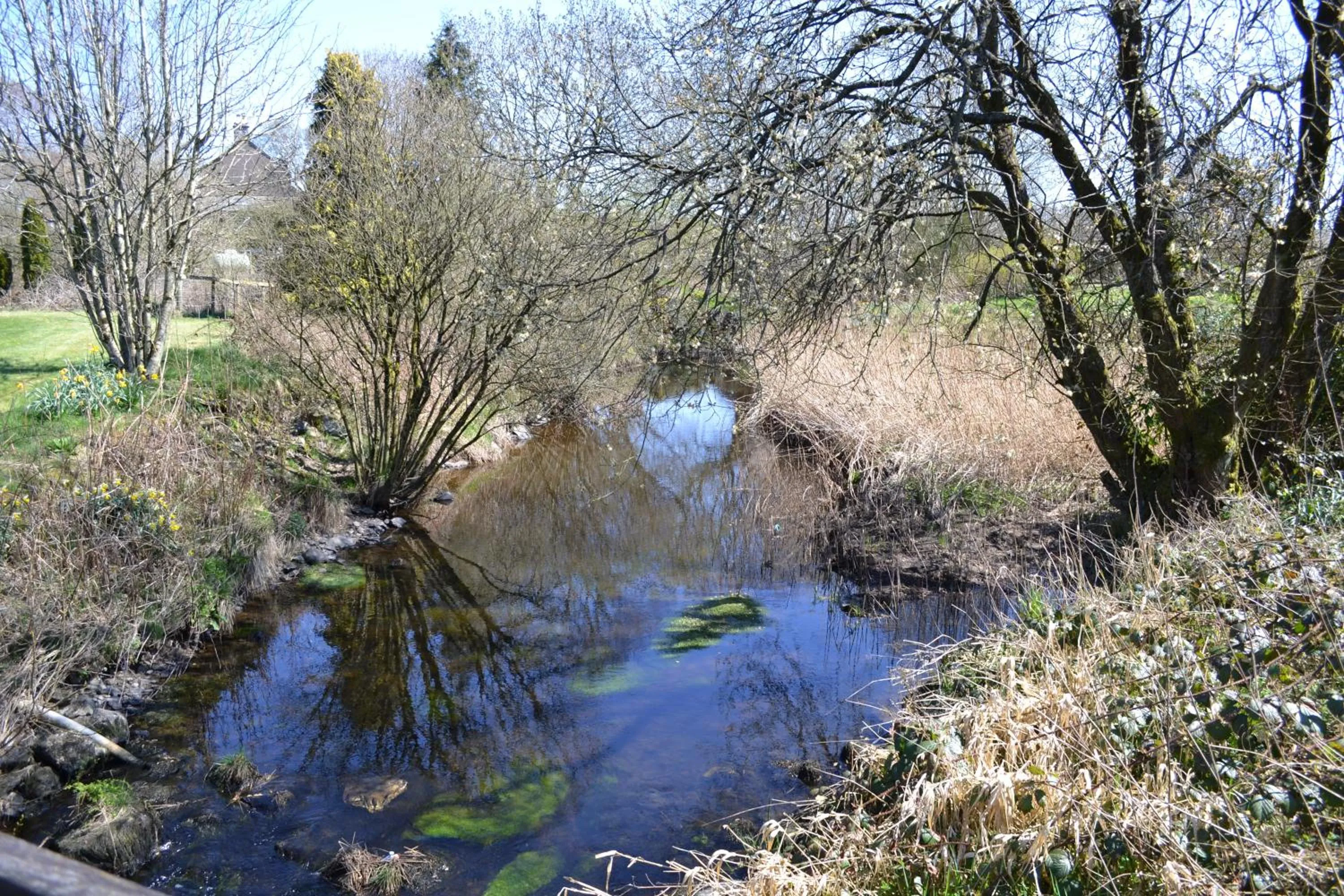 Property building in Y Giler Arms