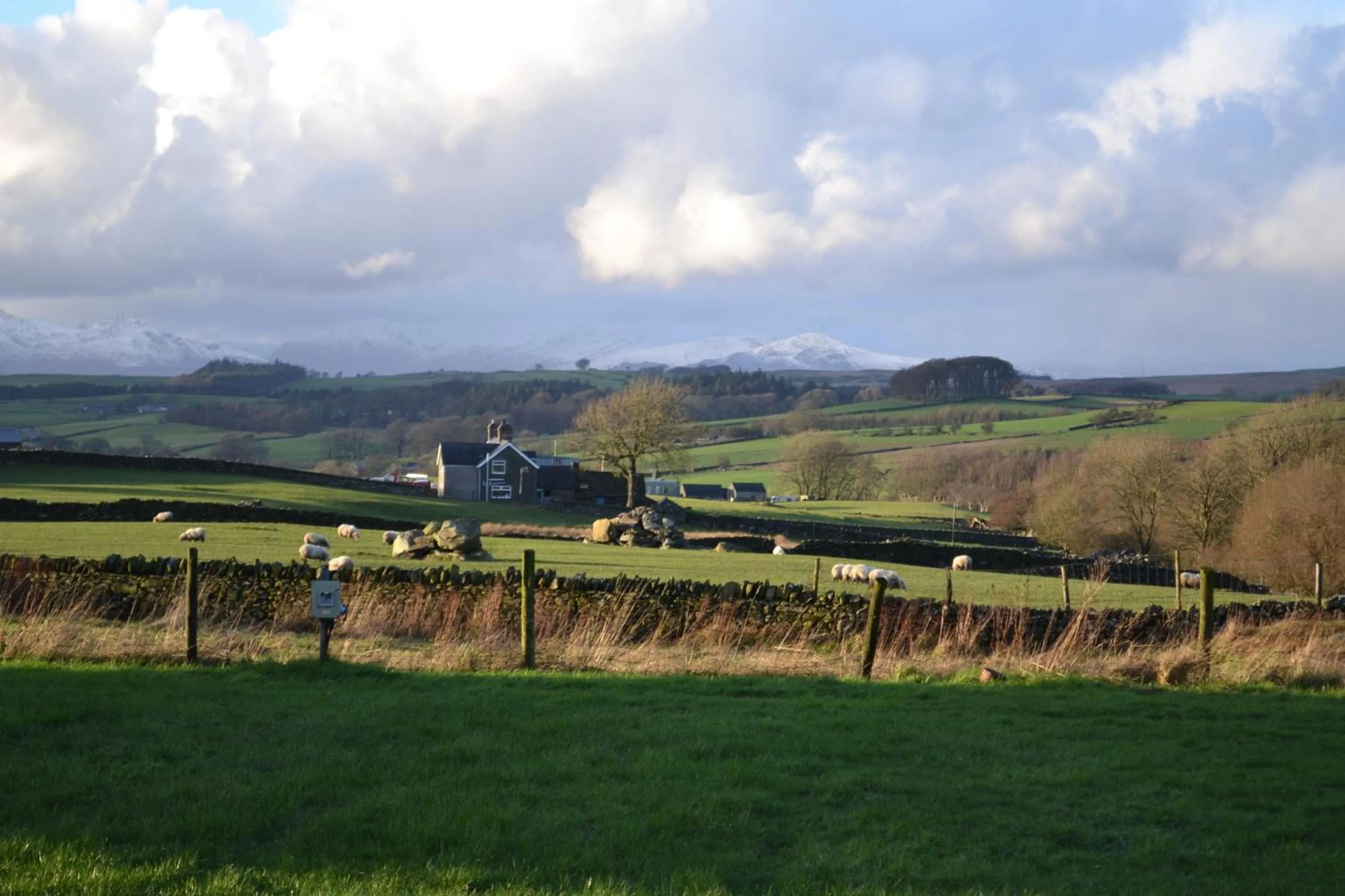 Garden in Y Giler Arms