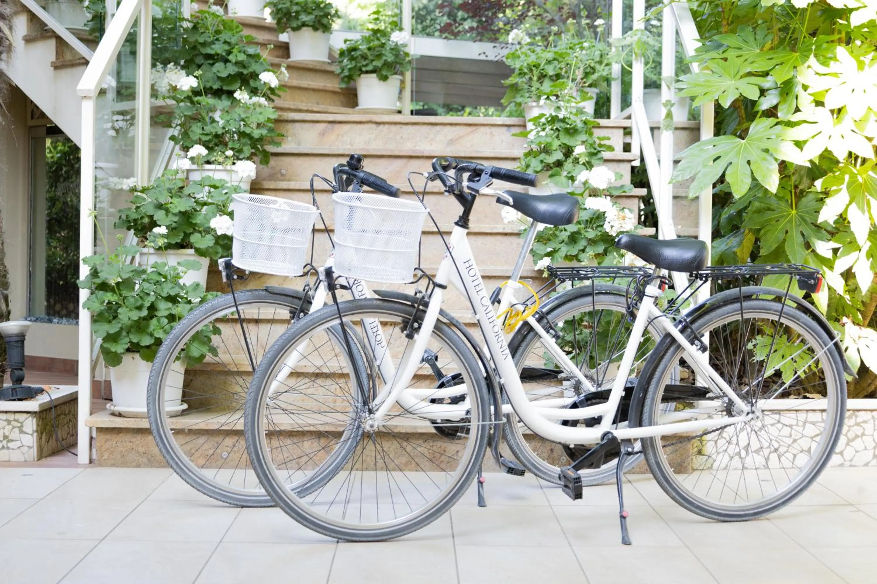 Cycling in California Pastry Hotel