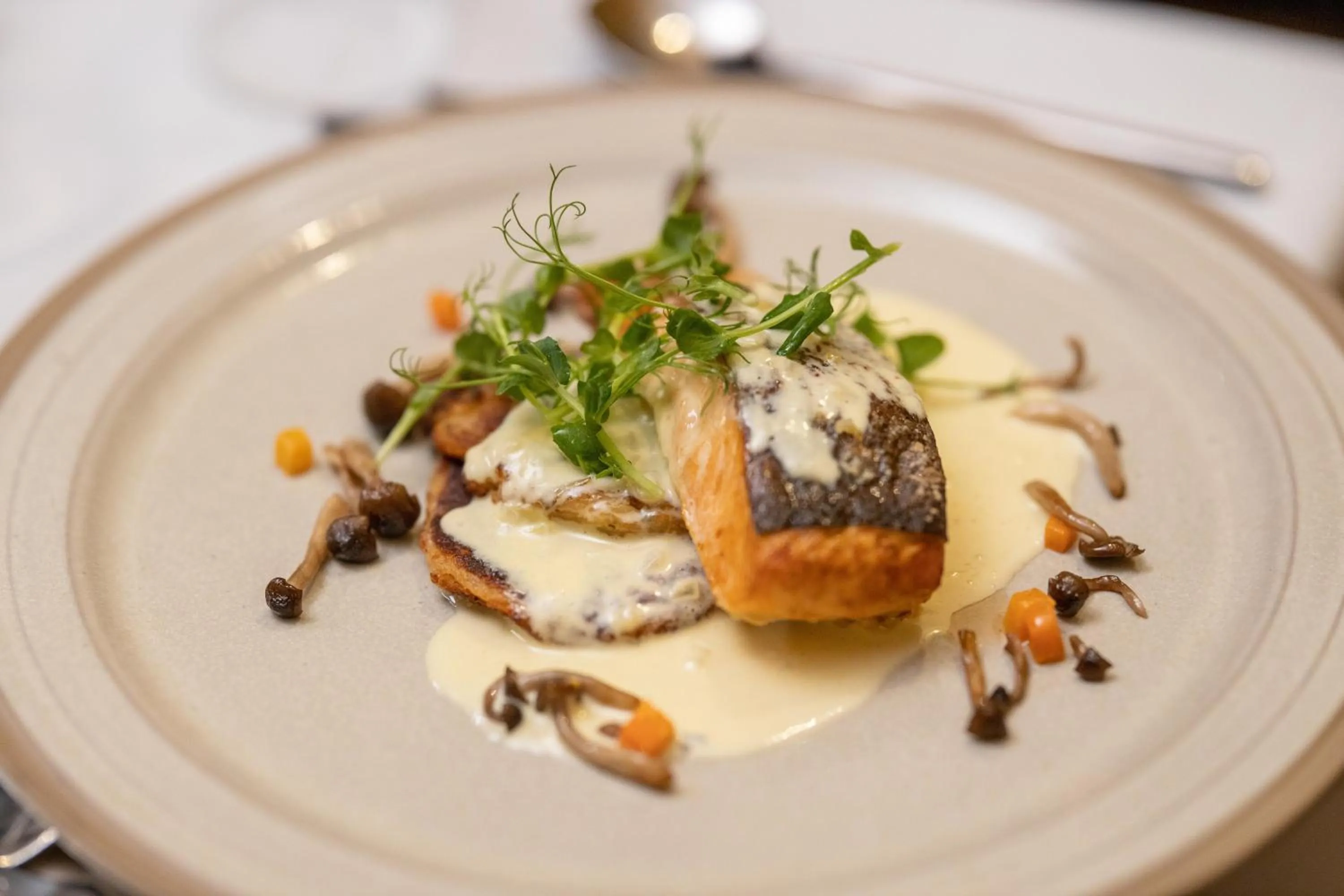 Denvir's of Downpatrick