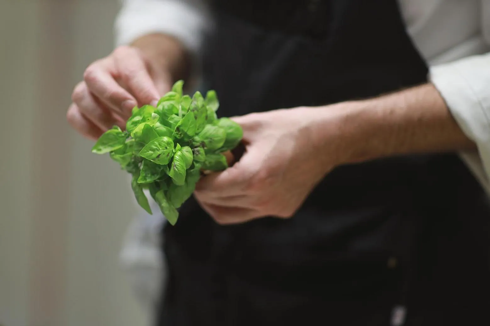 Restaurant/places to eat in Hotel Palazzo Grillo