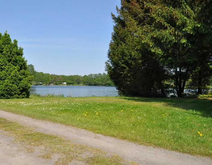 Natural landscape in Ferienpark Tannenbruchsee