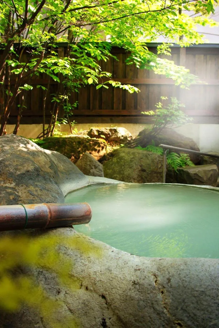 Summer in Meitoya So