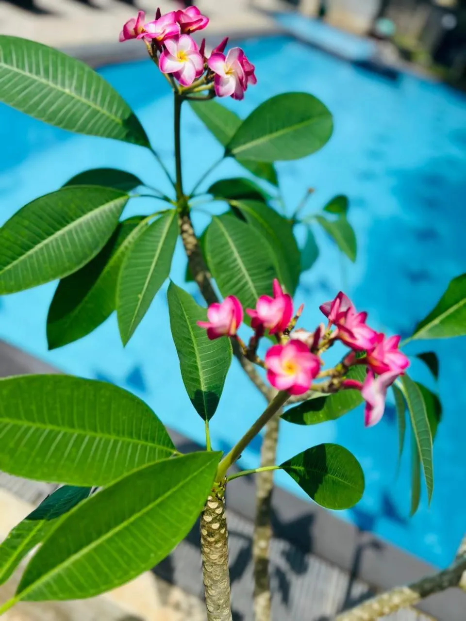 Wavelength Hotel & Wellness Center