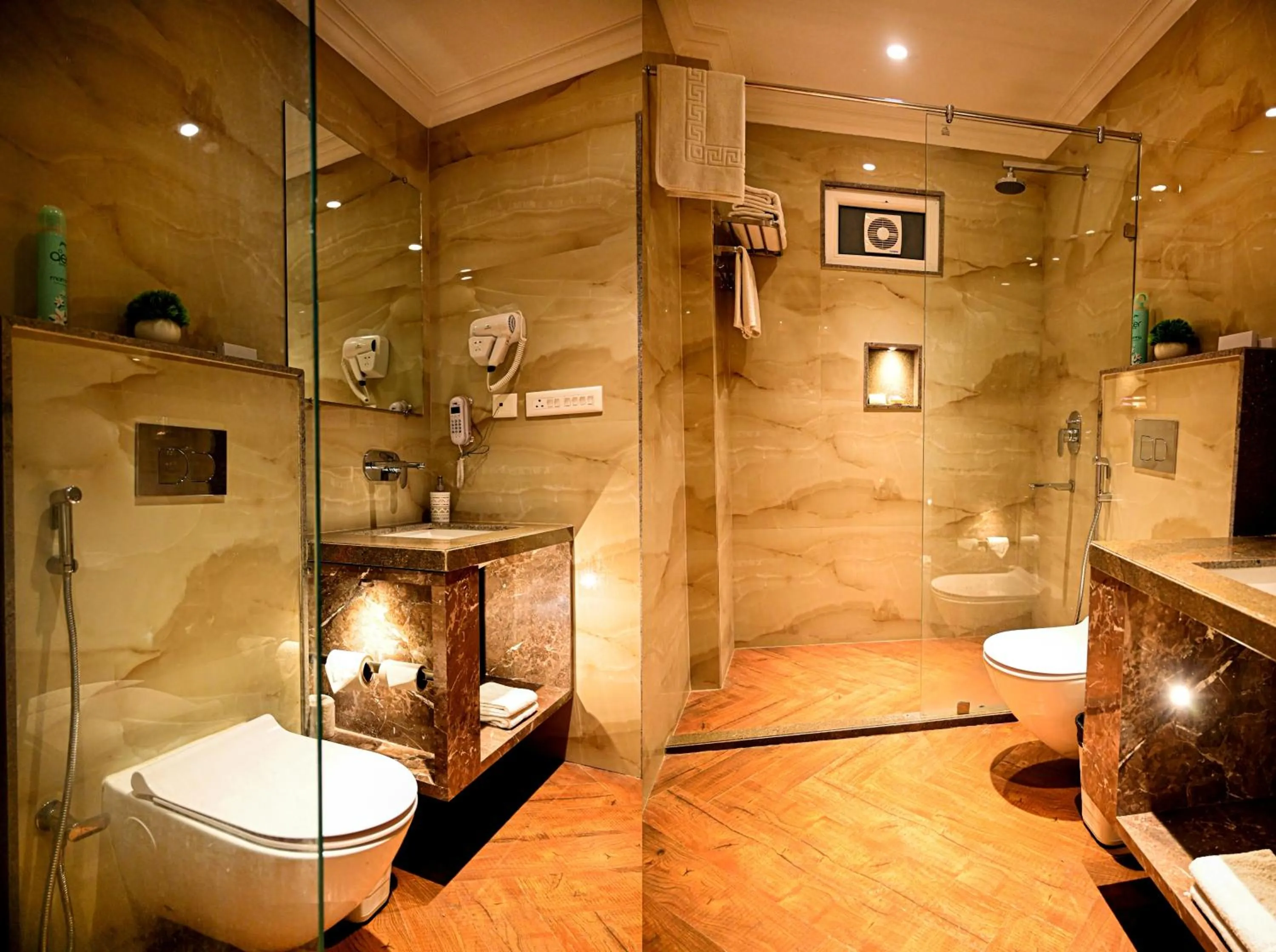 Toilet in Hotel Cresent - Near Assi Ghat