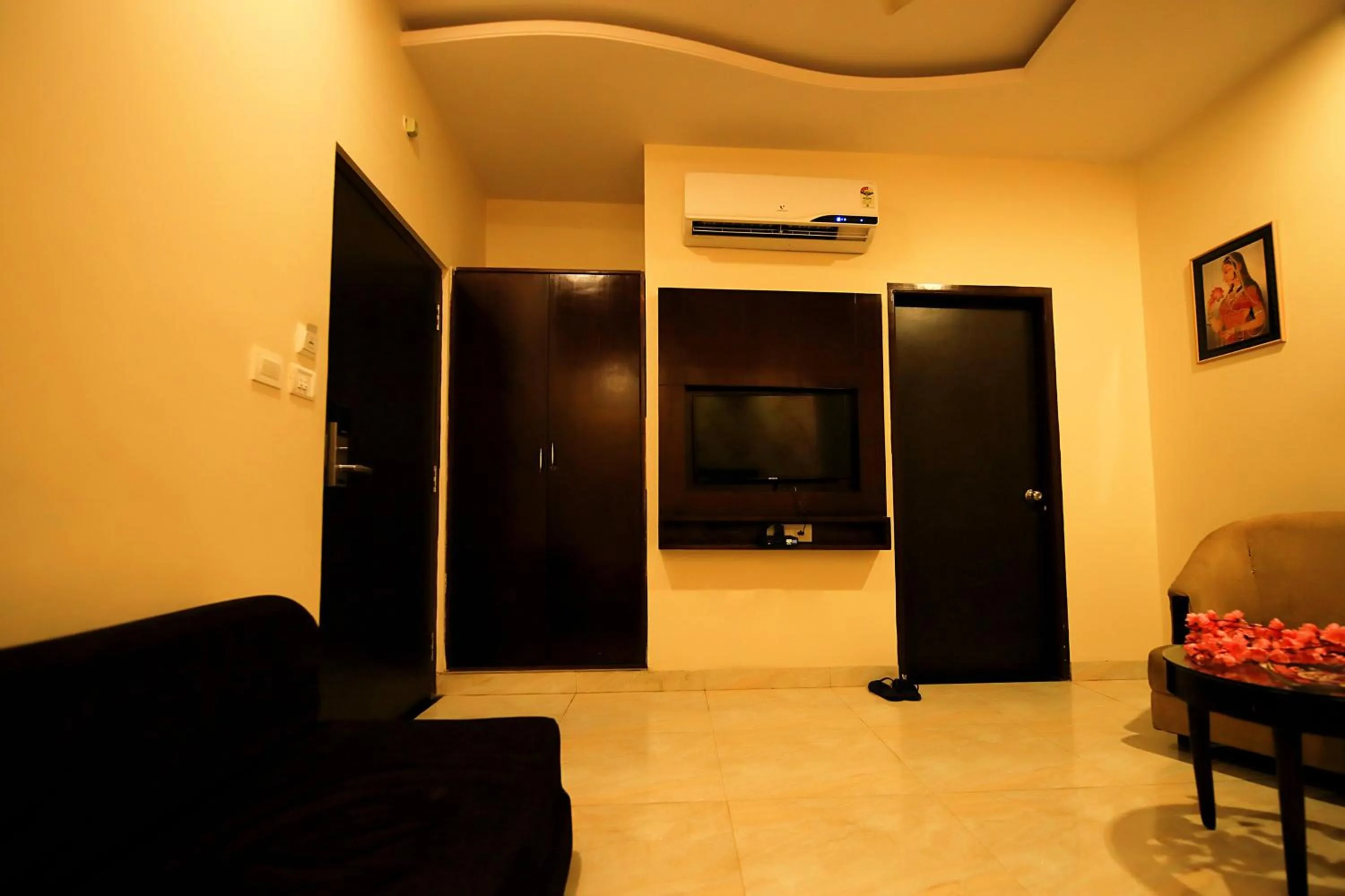 TV and multimedia in V One Pride