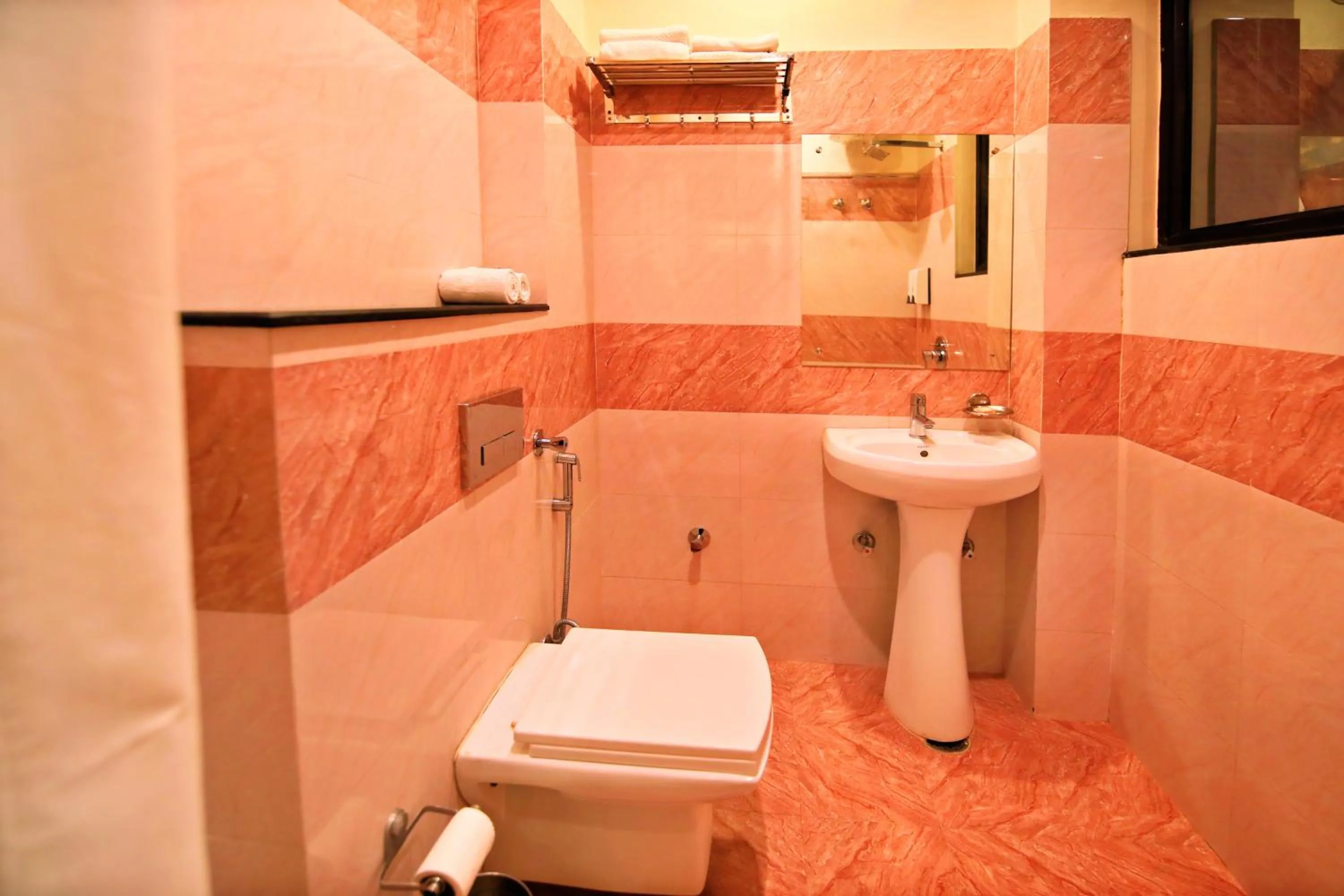 Toilet in V One Pride