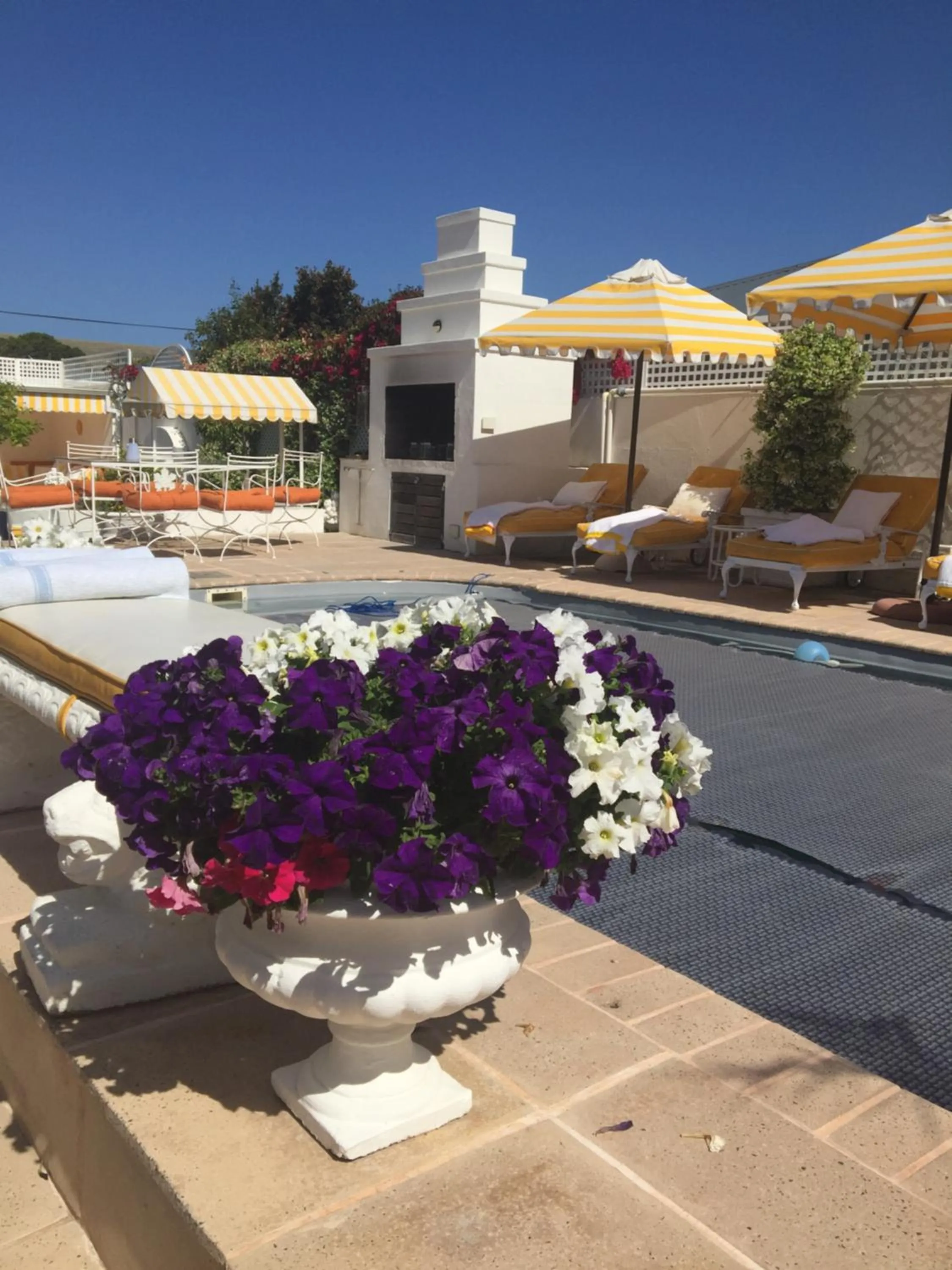 Swimming pool in Our Hermanus B&B