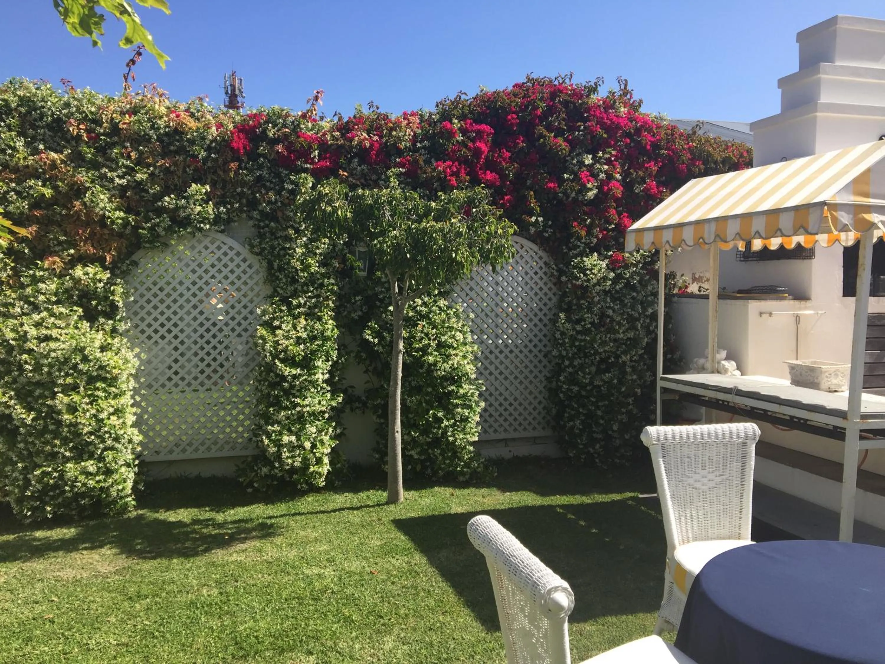 Garden in Our Hermanus B&B