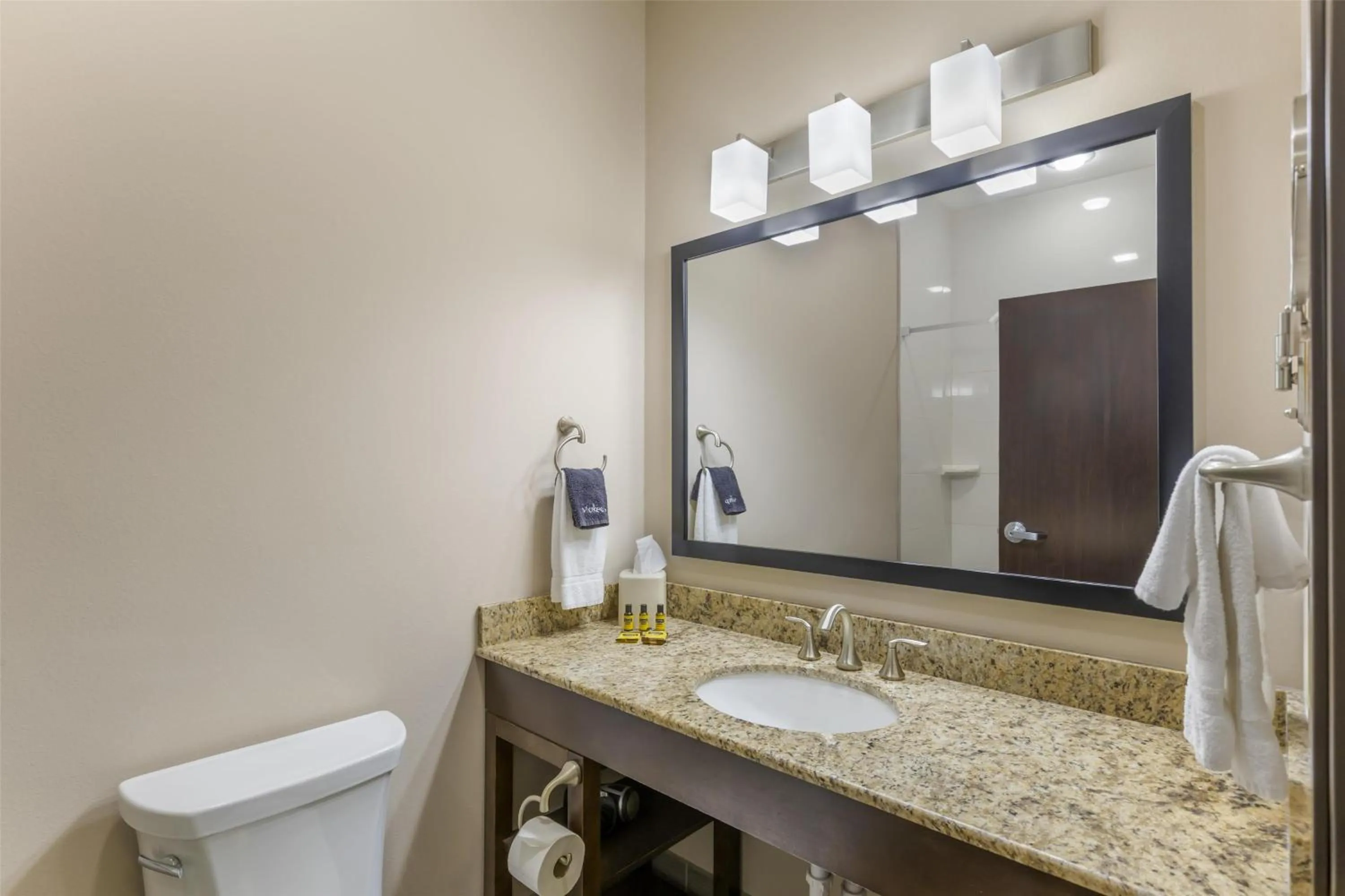 Bathroom in Best Western Plus Havre Inn & Suites