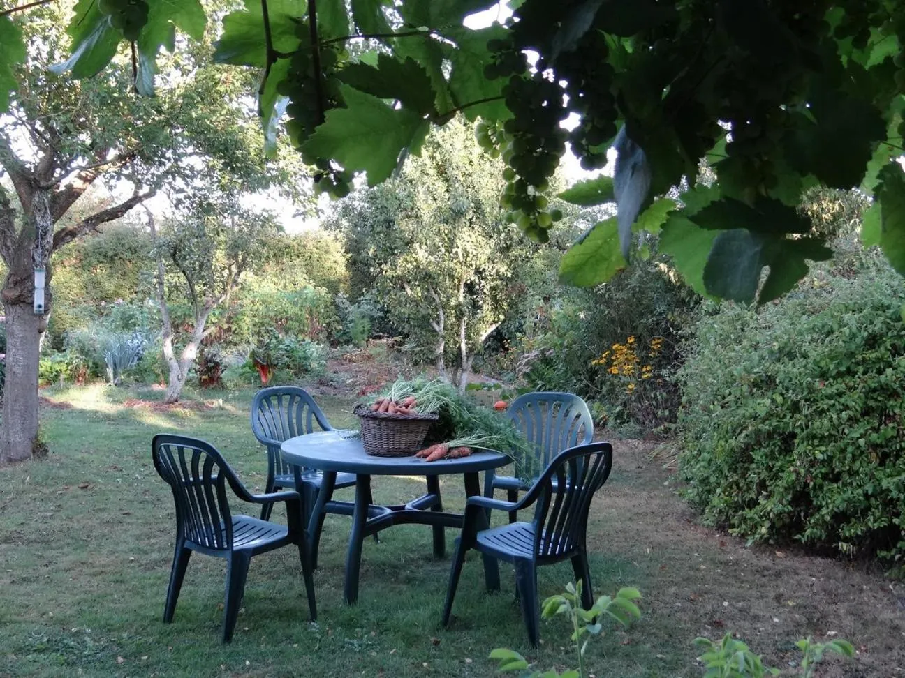 Garden view in La Sauleraie