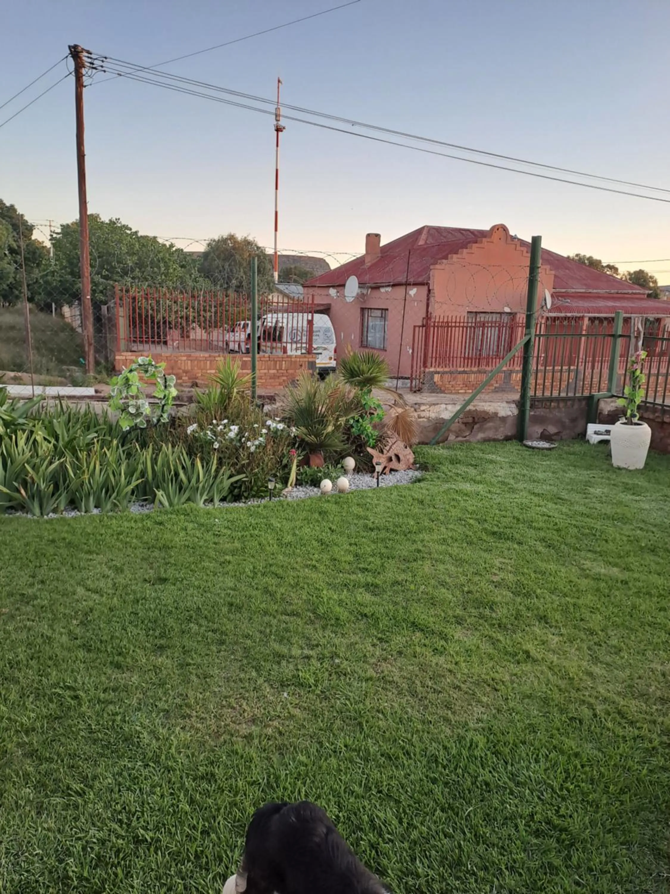 Garden in Breaking Dawn