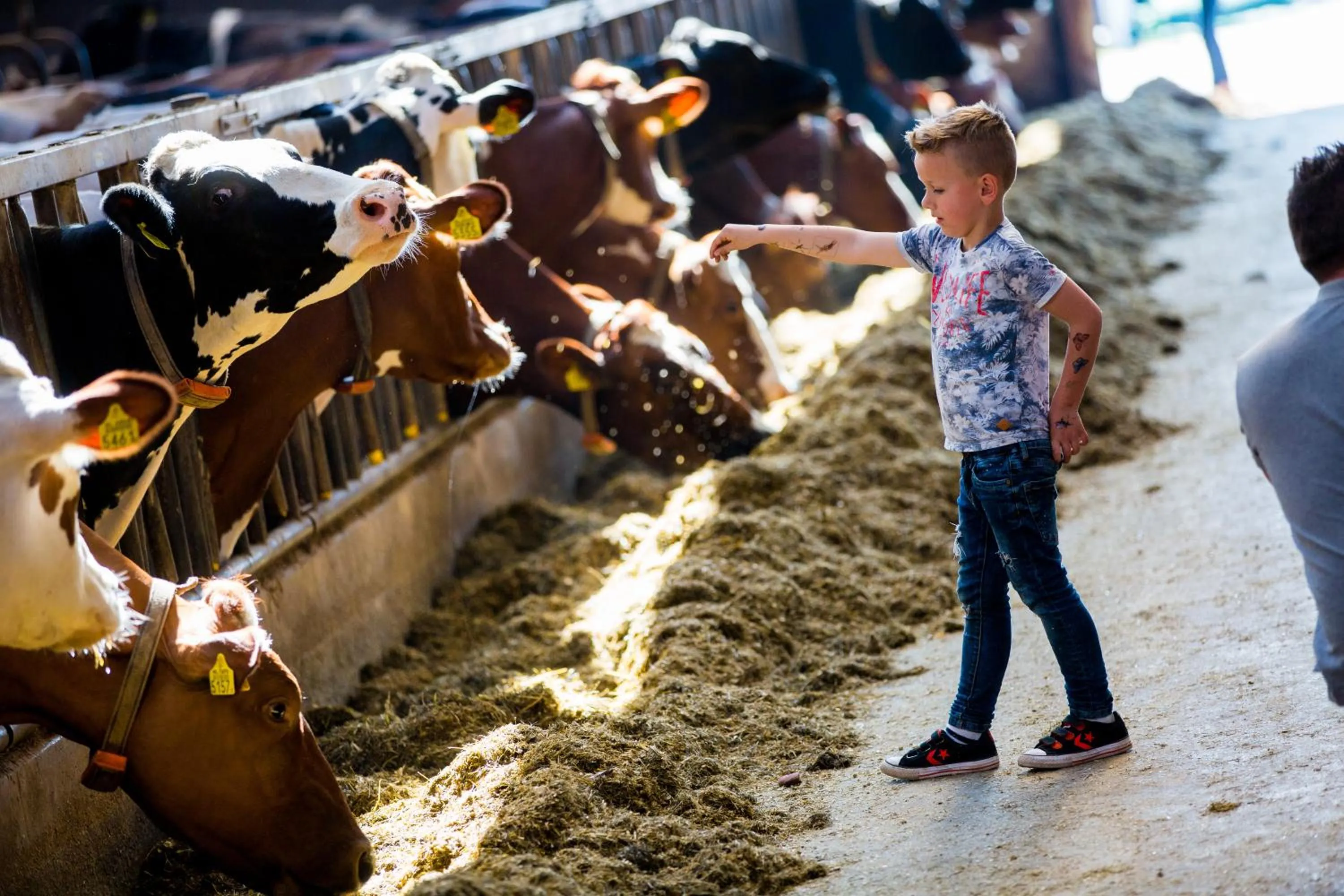 Bed and Breakfast De Volkelse Hooiberg