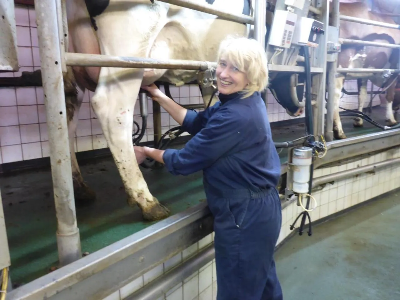 Bed and Breakfast De Volkelse Hooiberg