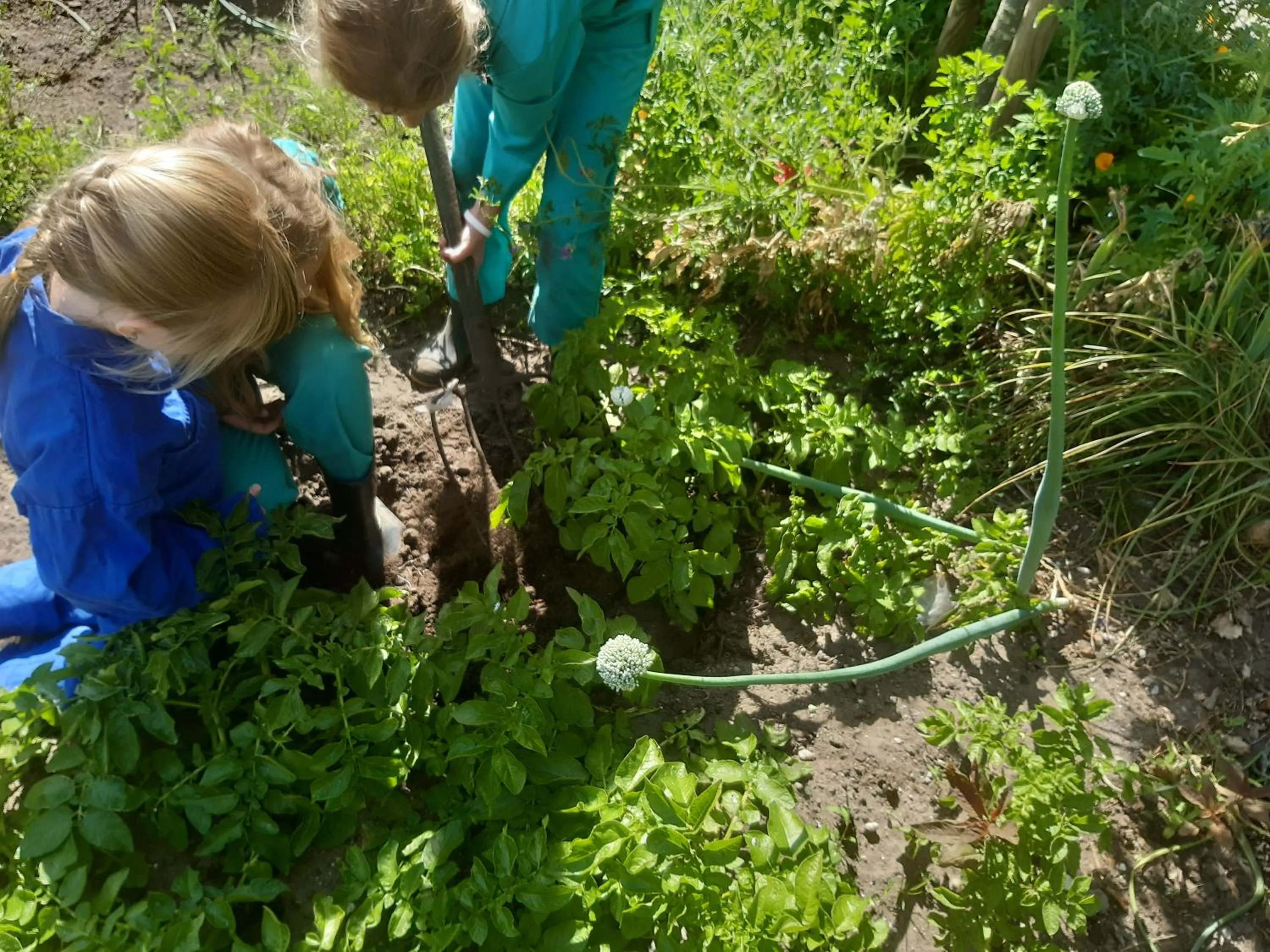 Bed and Breakfast De Volkelse Hooiberg