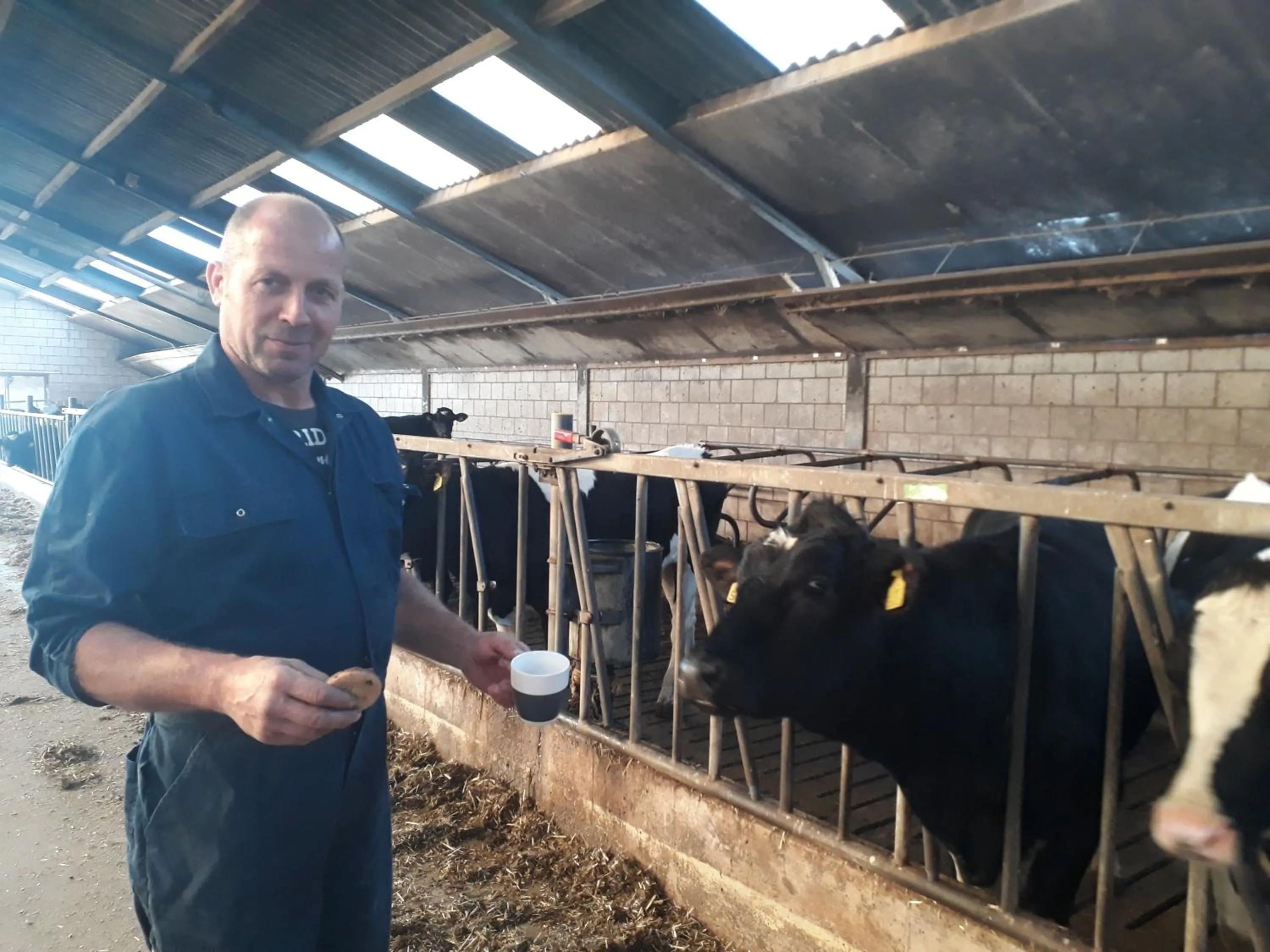 Bed and Breakfast De Volkelse Hooiberg