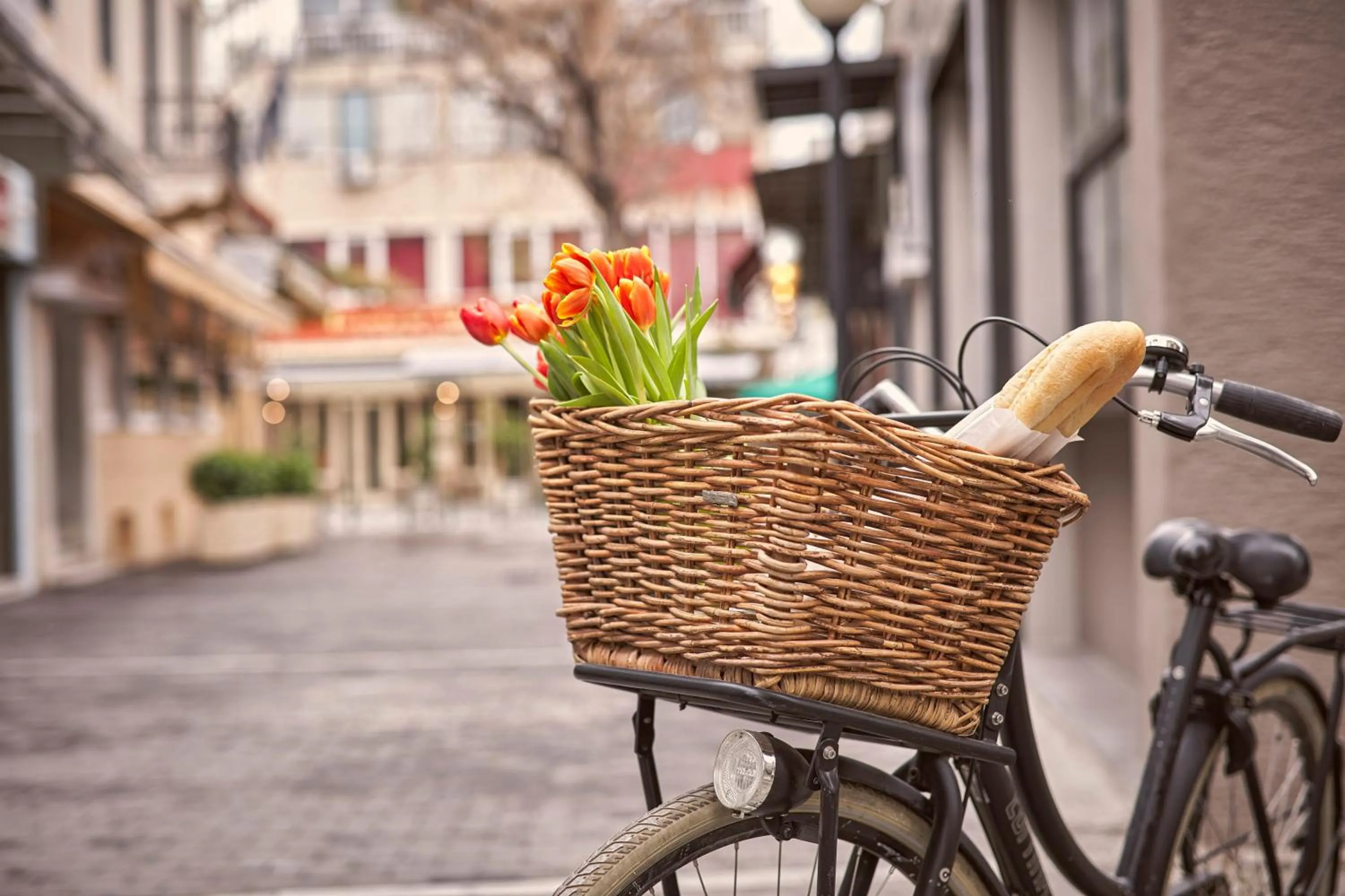 Property building in 18 Micon Str.