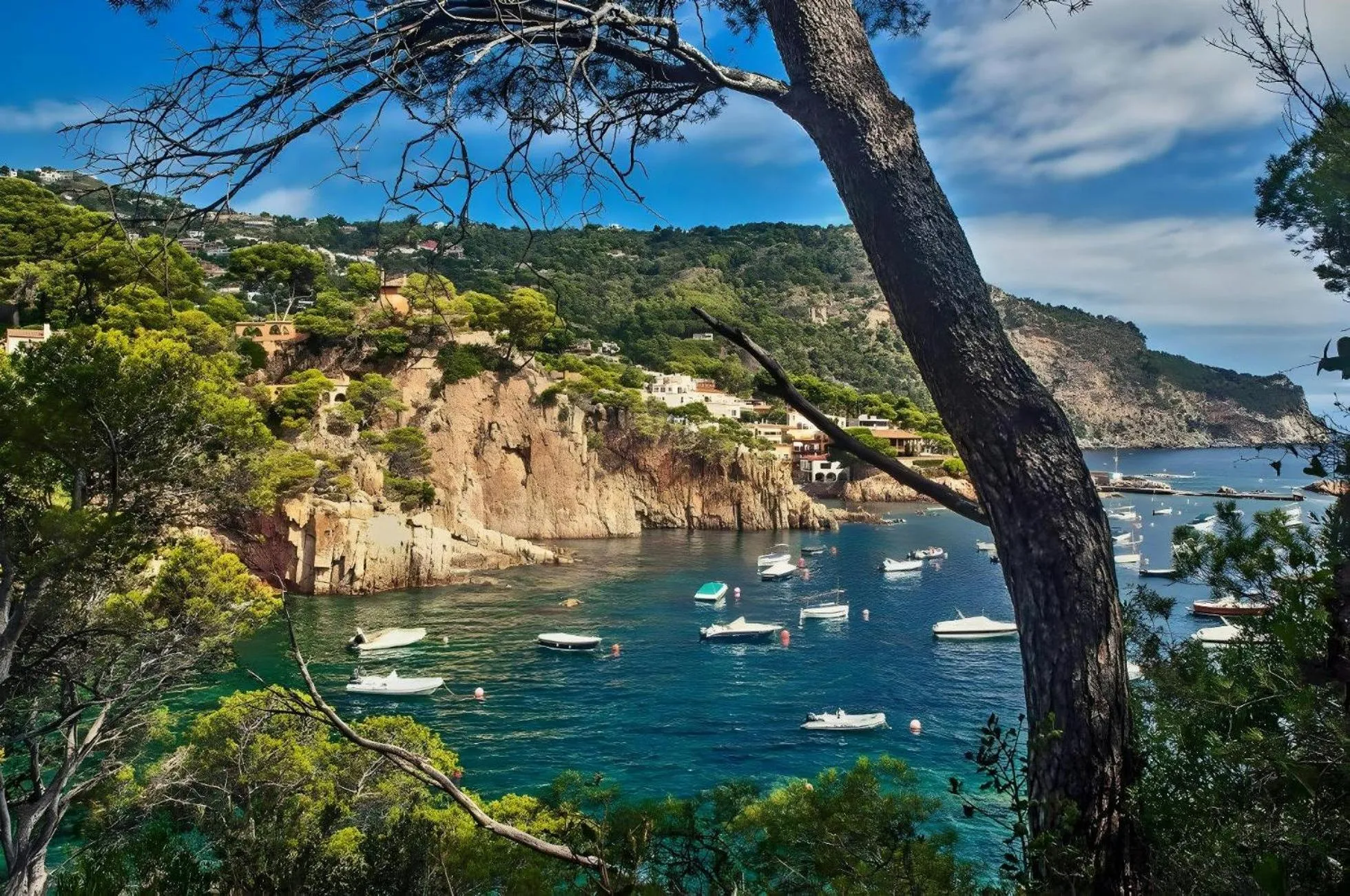 Beach in ApartmentsTamariu4 Unbeatable views 50m to beach