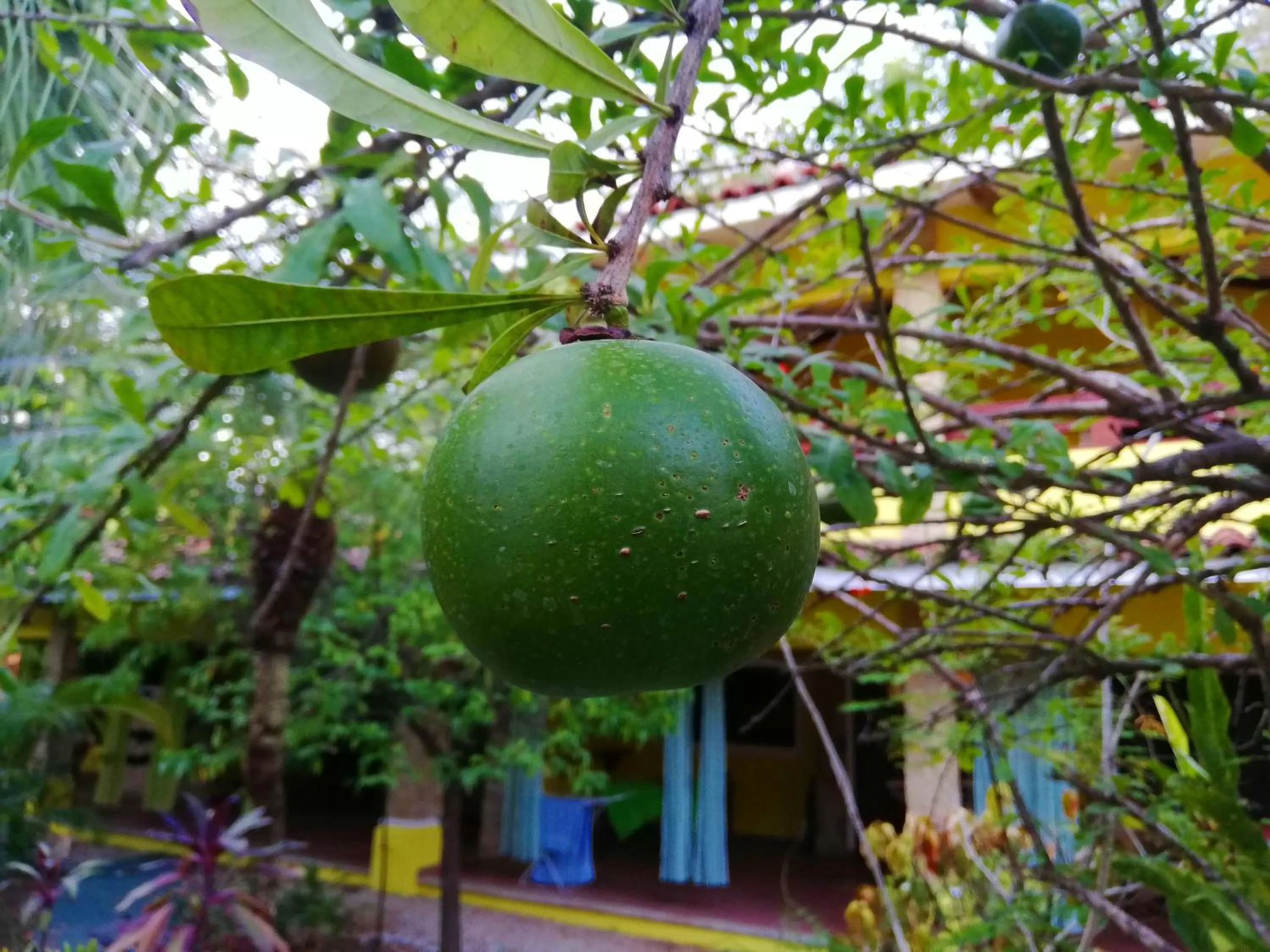 Patio in Villas Verdes