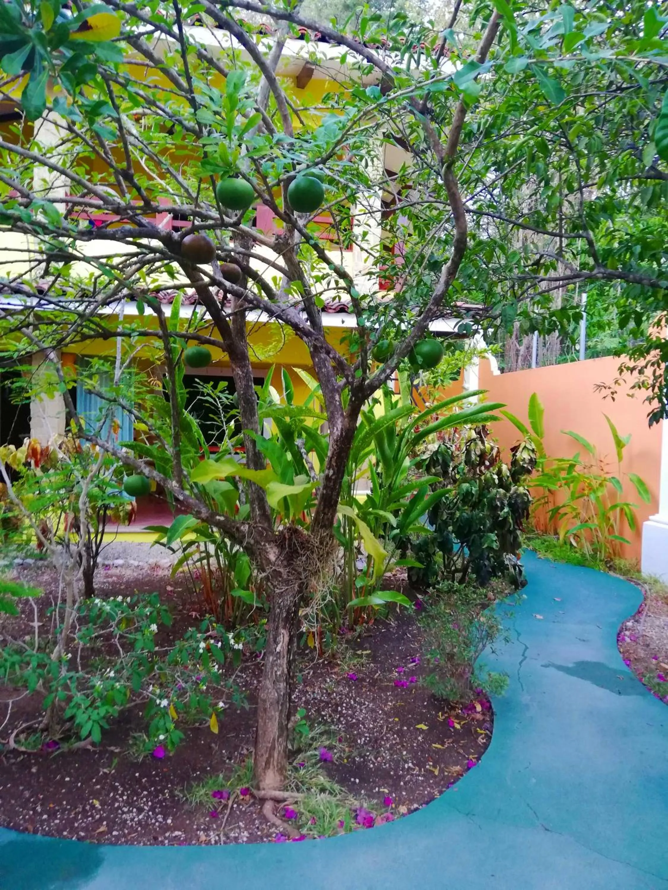 Patio in Villas Verdes