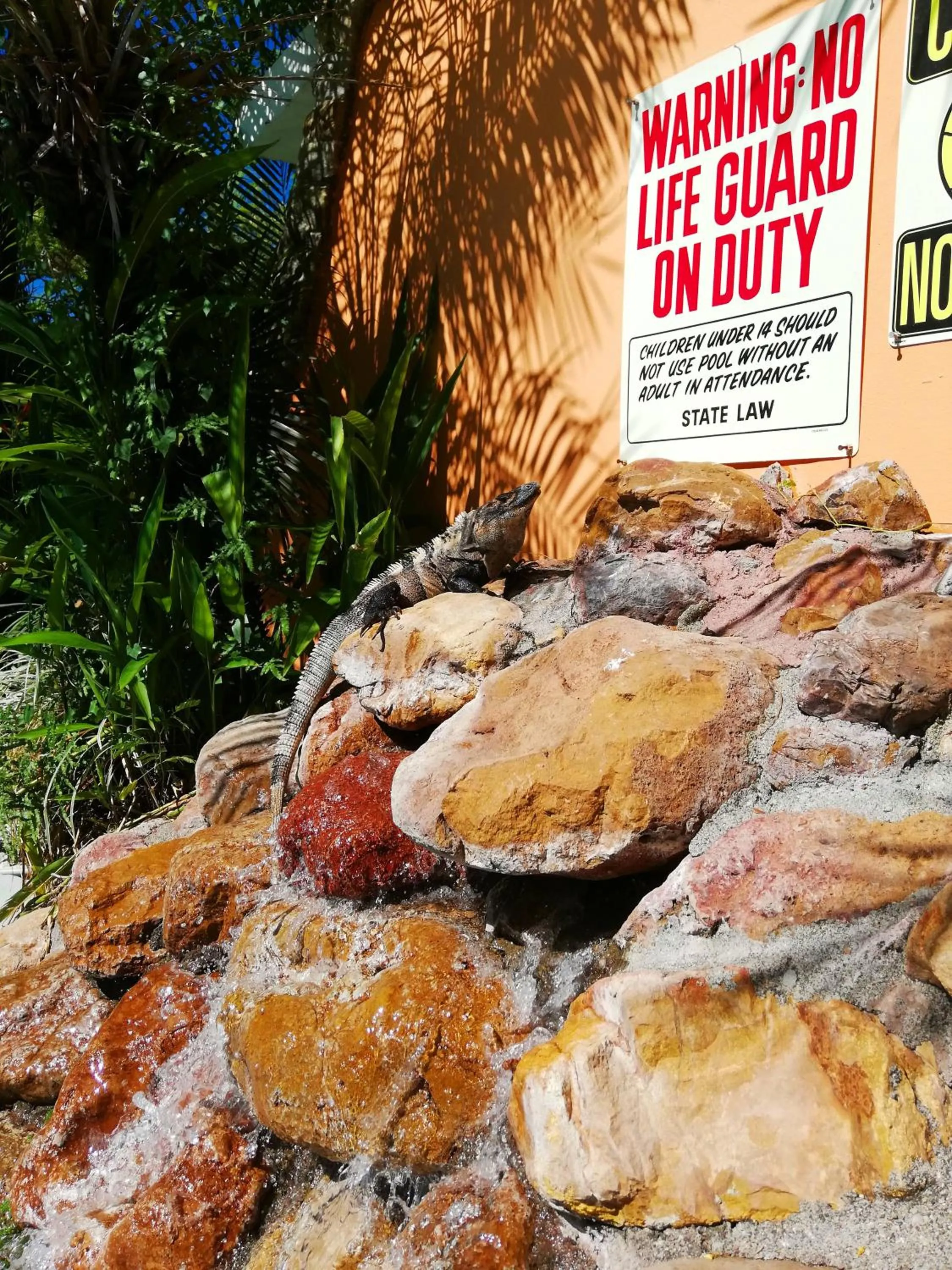 Animals in Villas Verdes