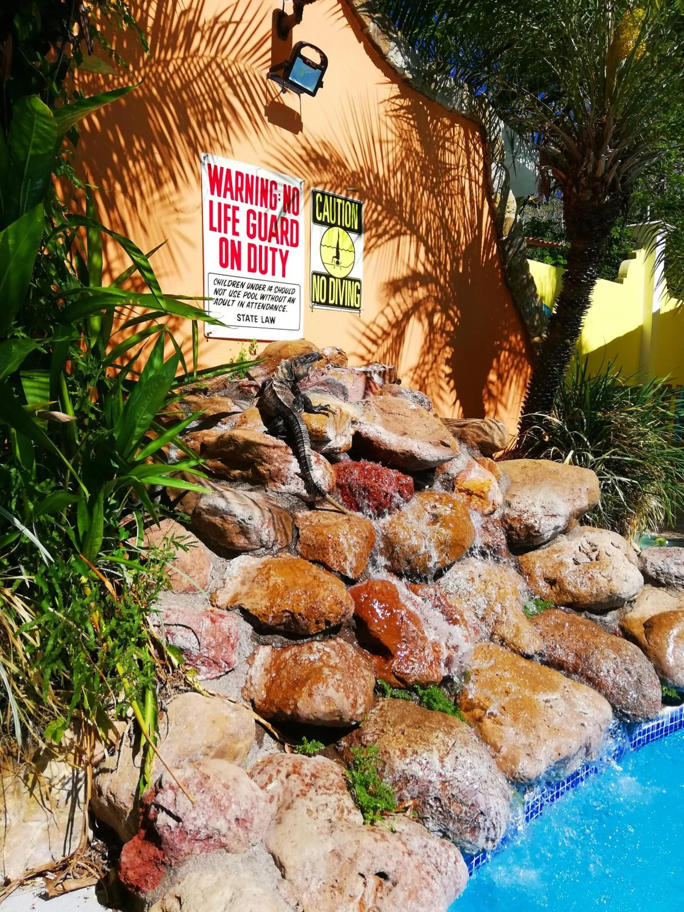 Animals in Villas Verdes