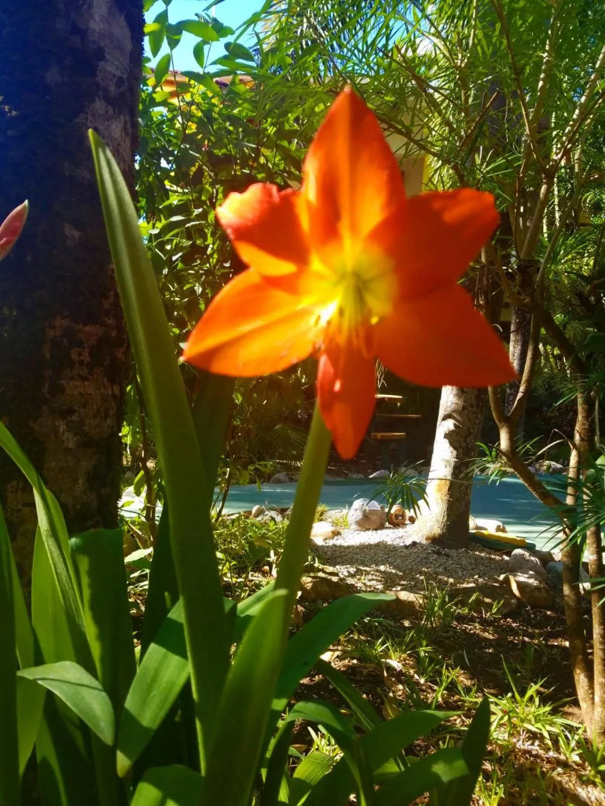 Patio in Villas Verdes