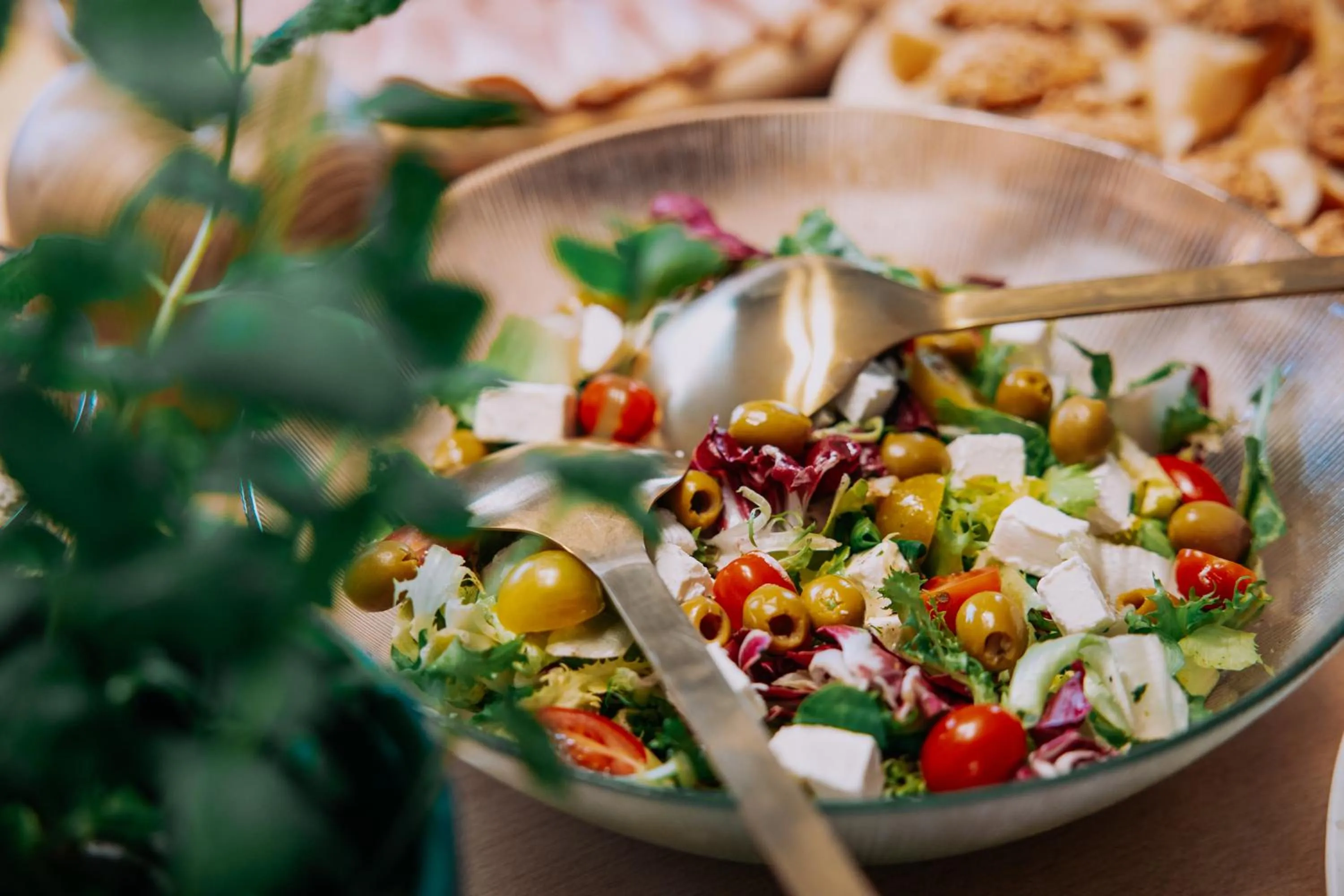 Food and drinks in Bystry Comfort