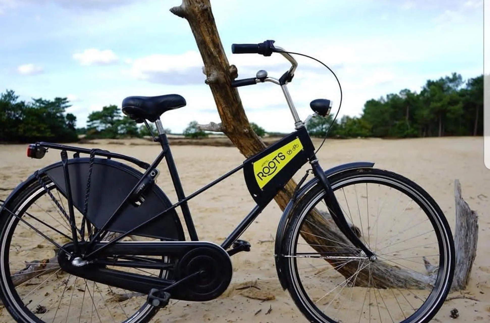 Natural landscape in Hostel Roots