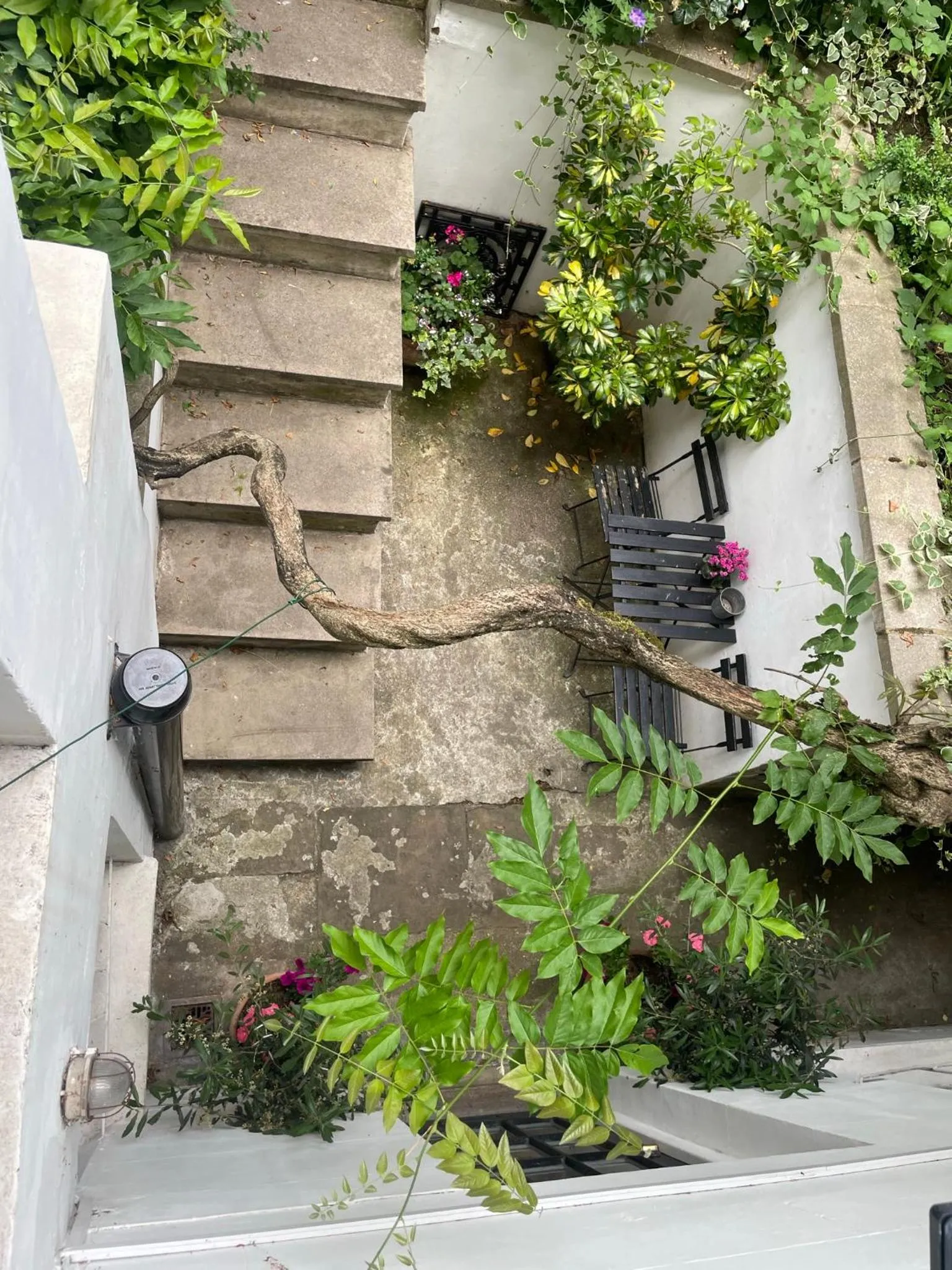 Central Victorian House