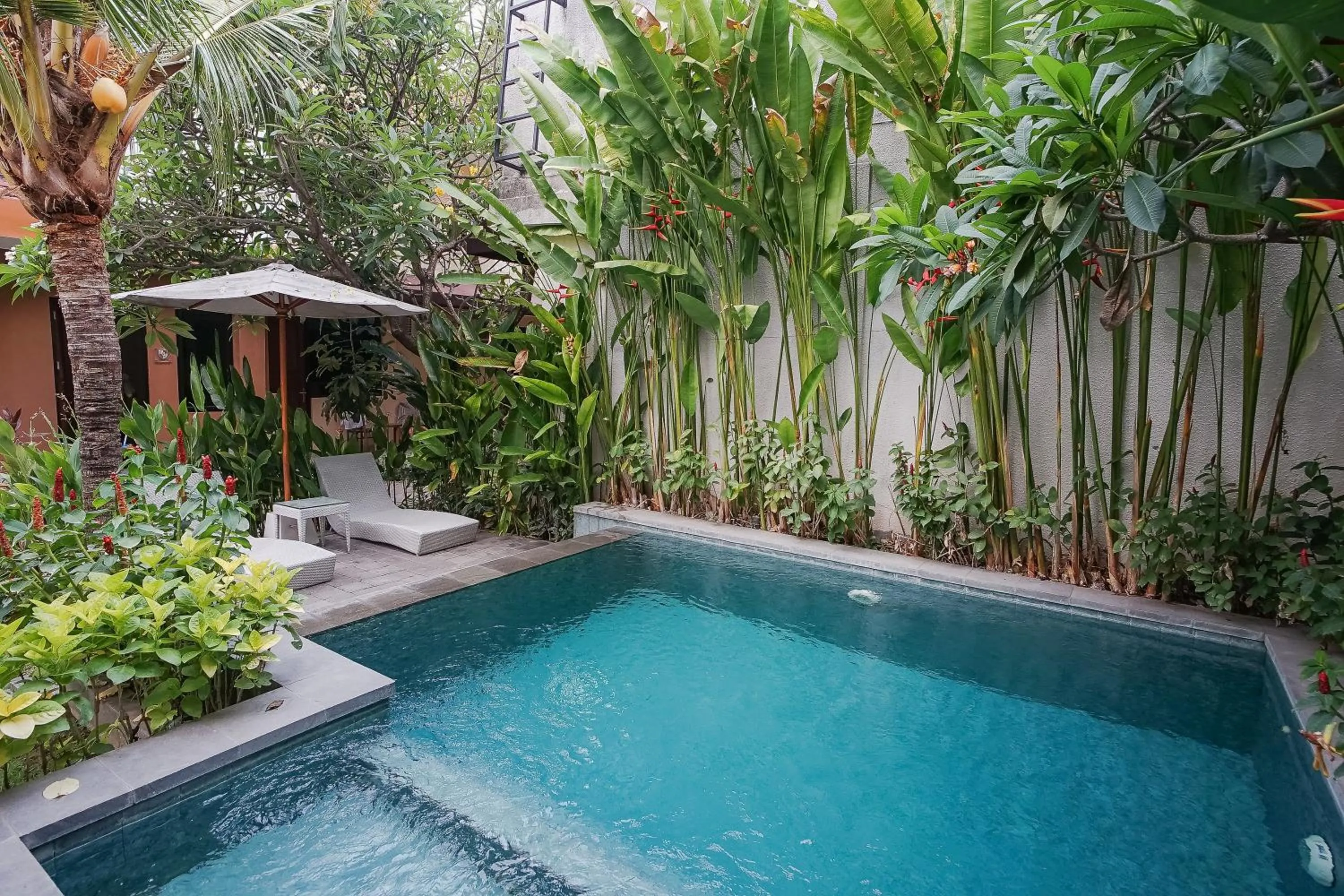 Swimming pool in Dee Mansion Bali