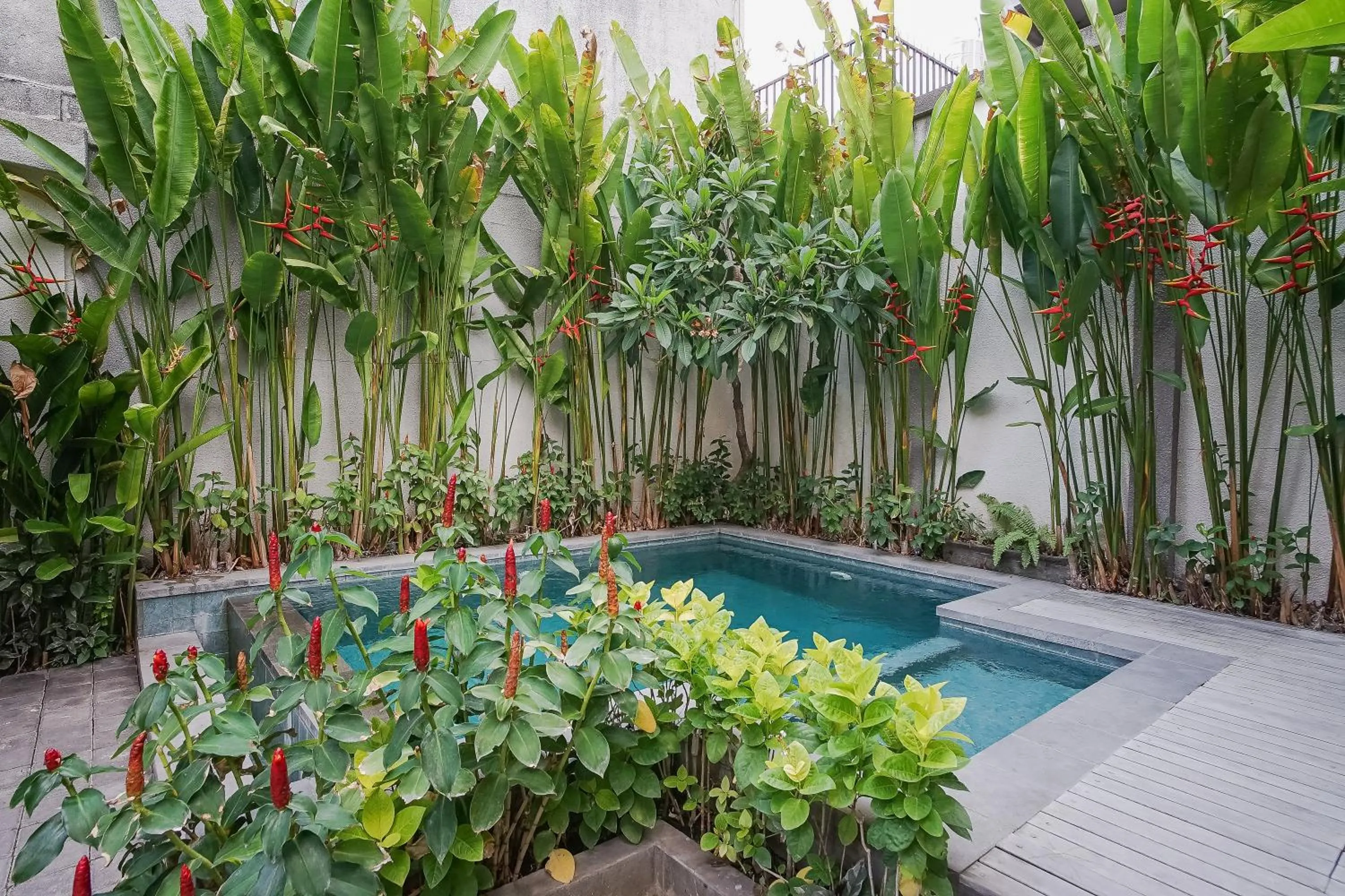 Swimming pool in Dee Mansion Bali