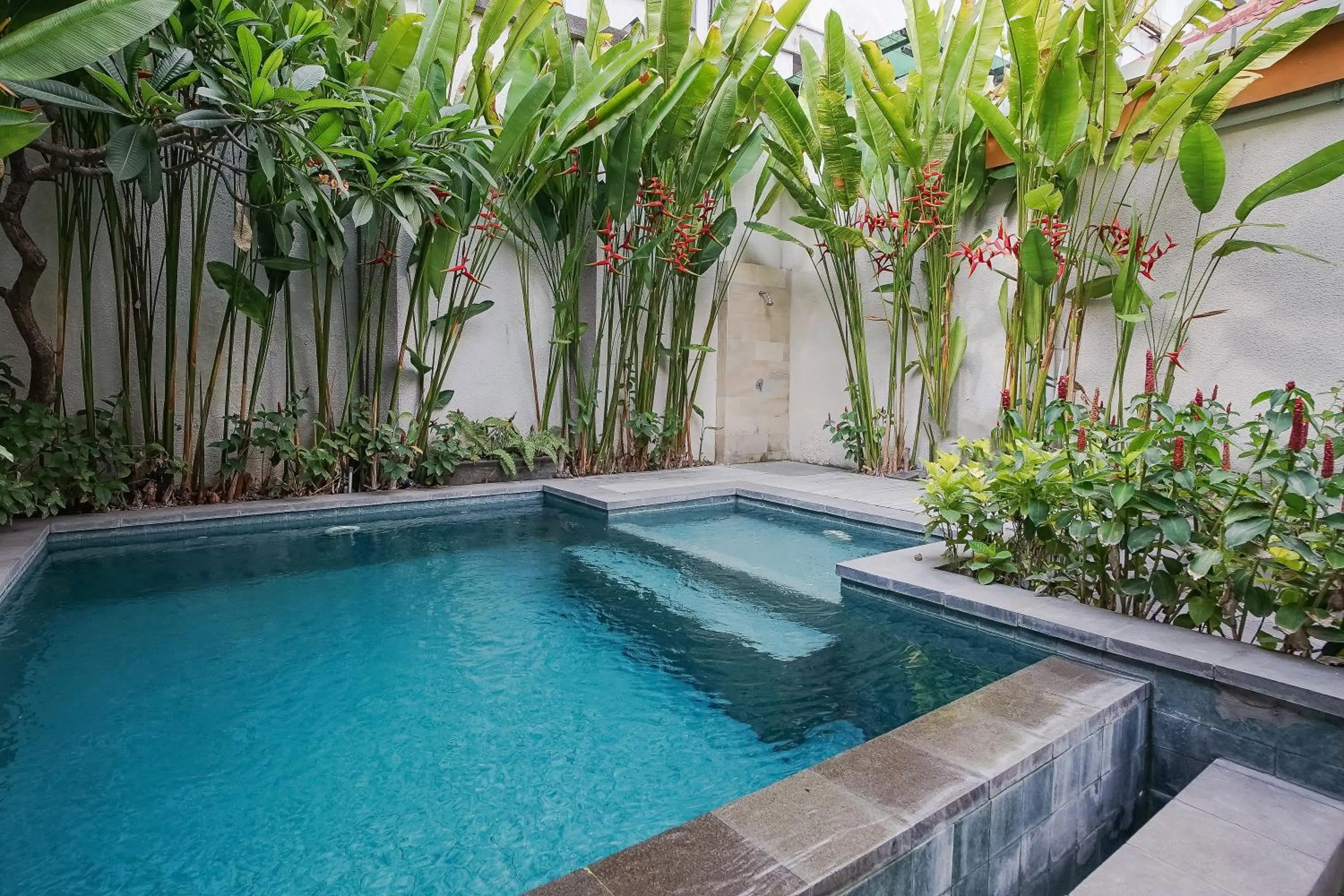 Swimming pool in Dee Mansion Bali