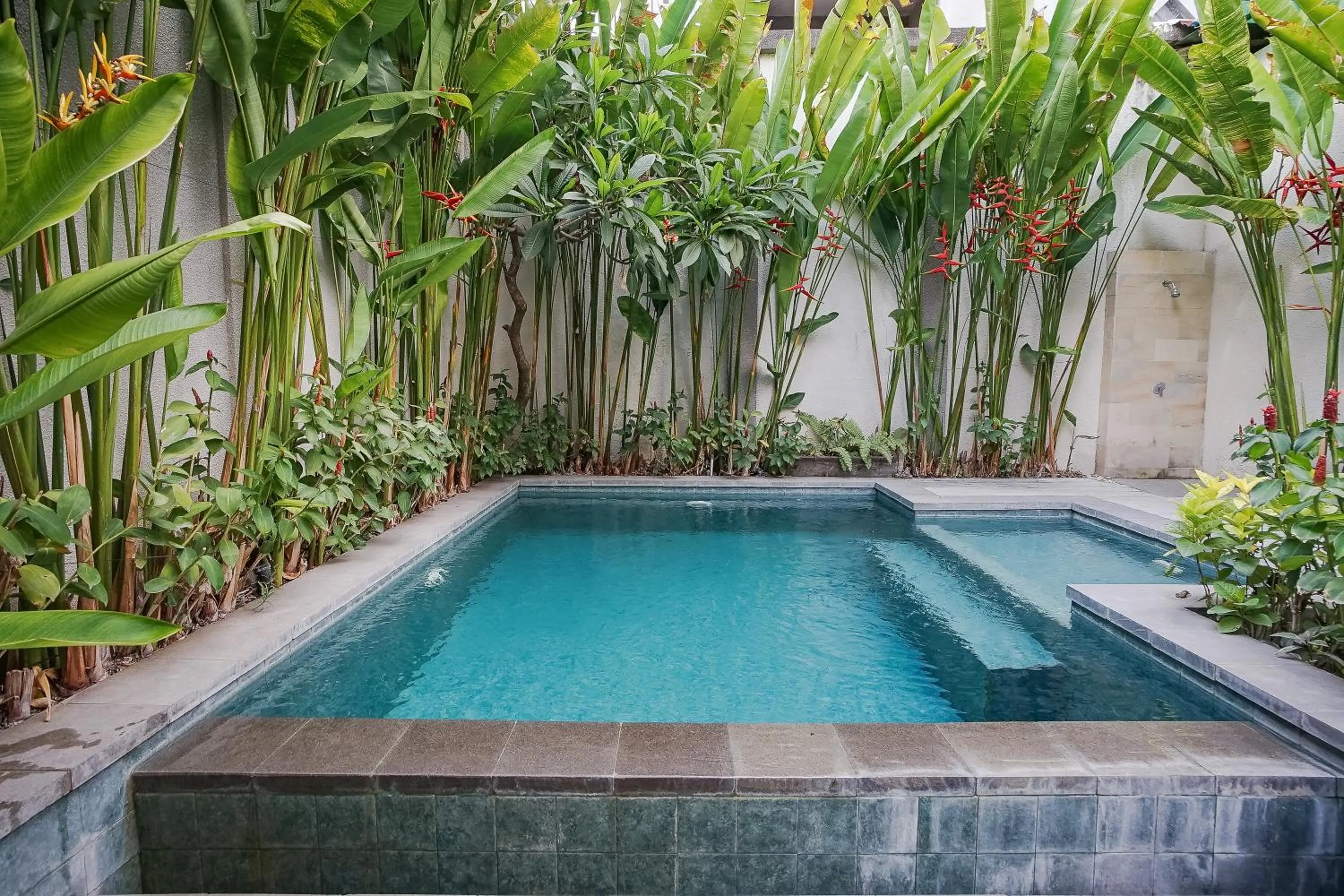 Garden view in Dee Mansion Bali