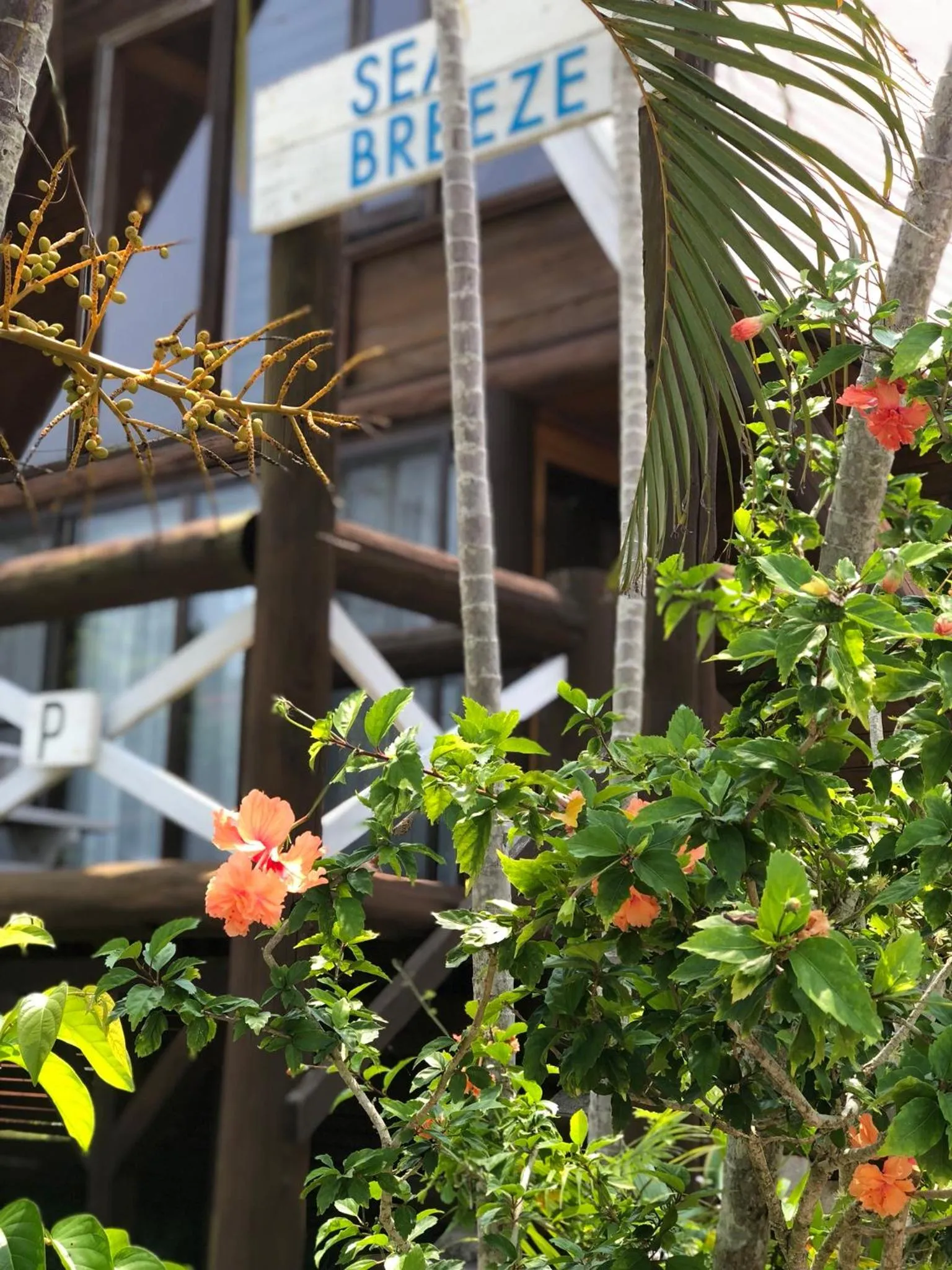 Facade/entrance in Sea Breeze