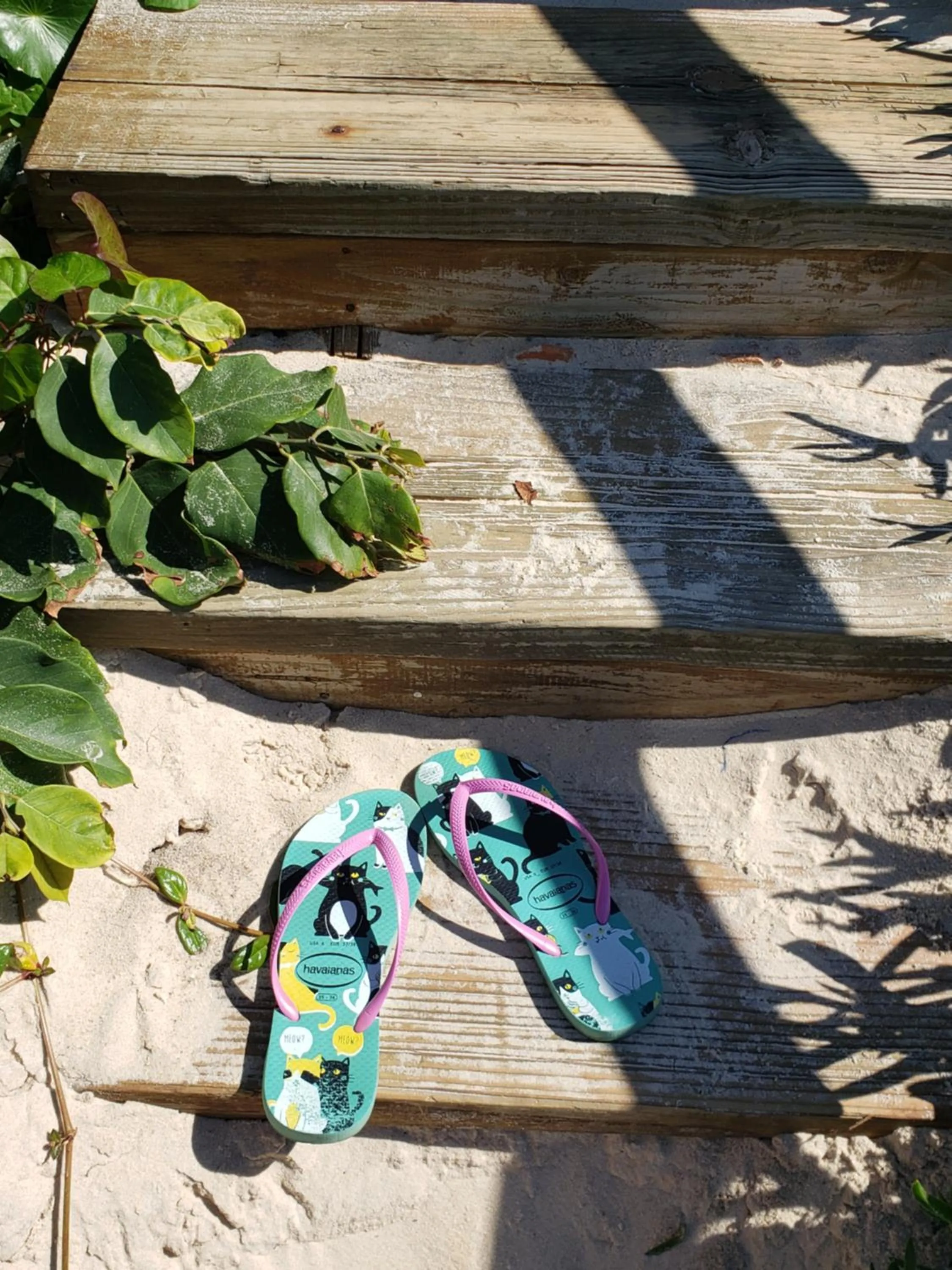 Decorative detail in Pousada Pedra da Gaivota