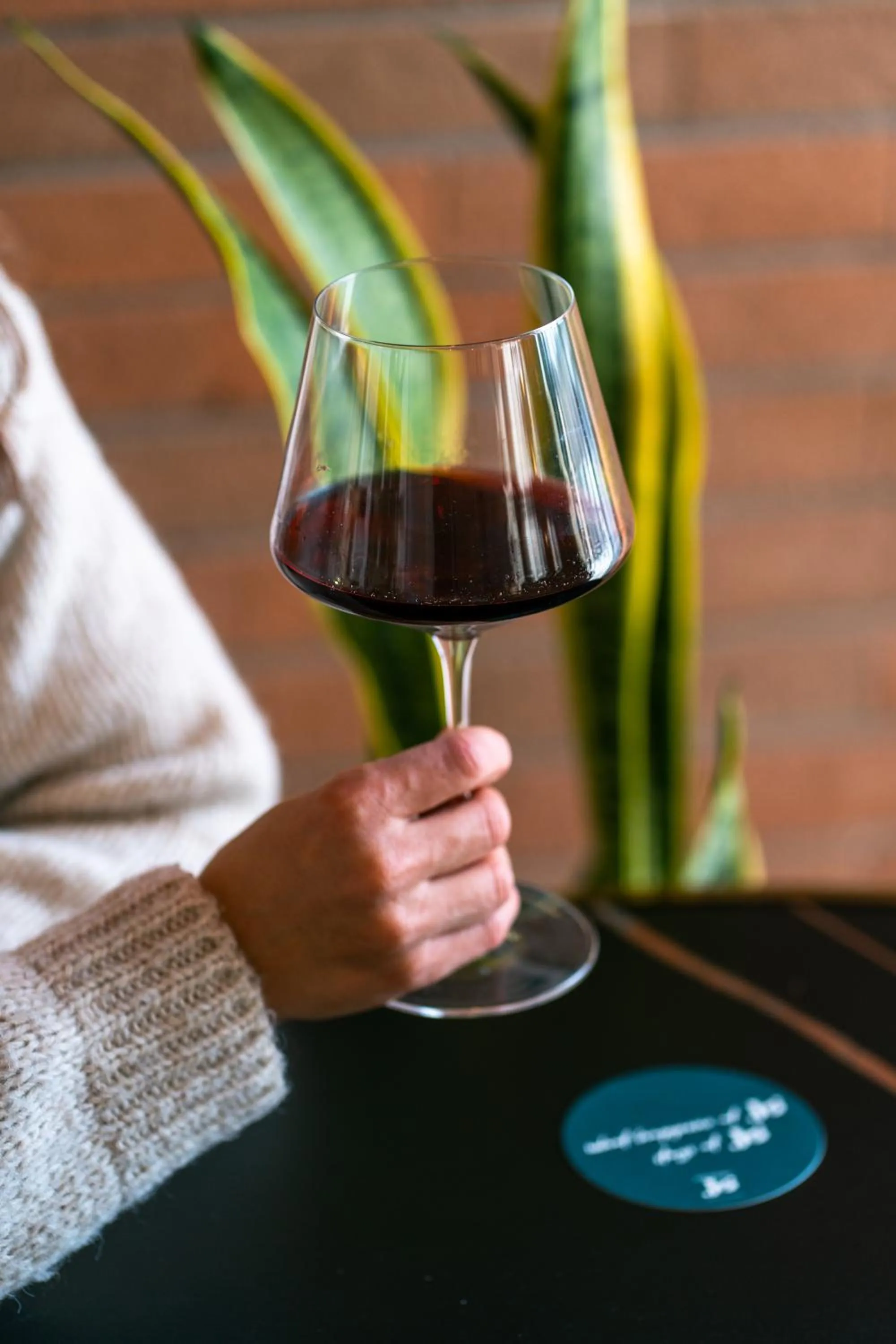 Lounge or bar in Hotel Jolly Roger