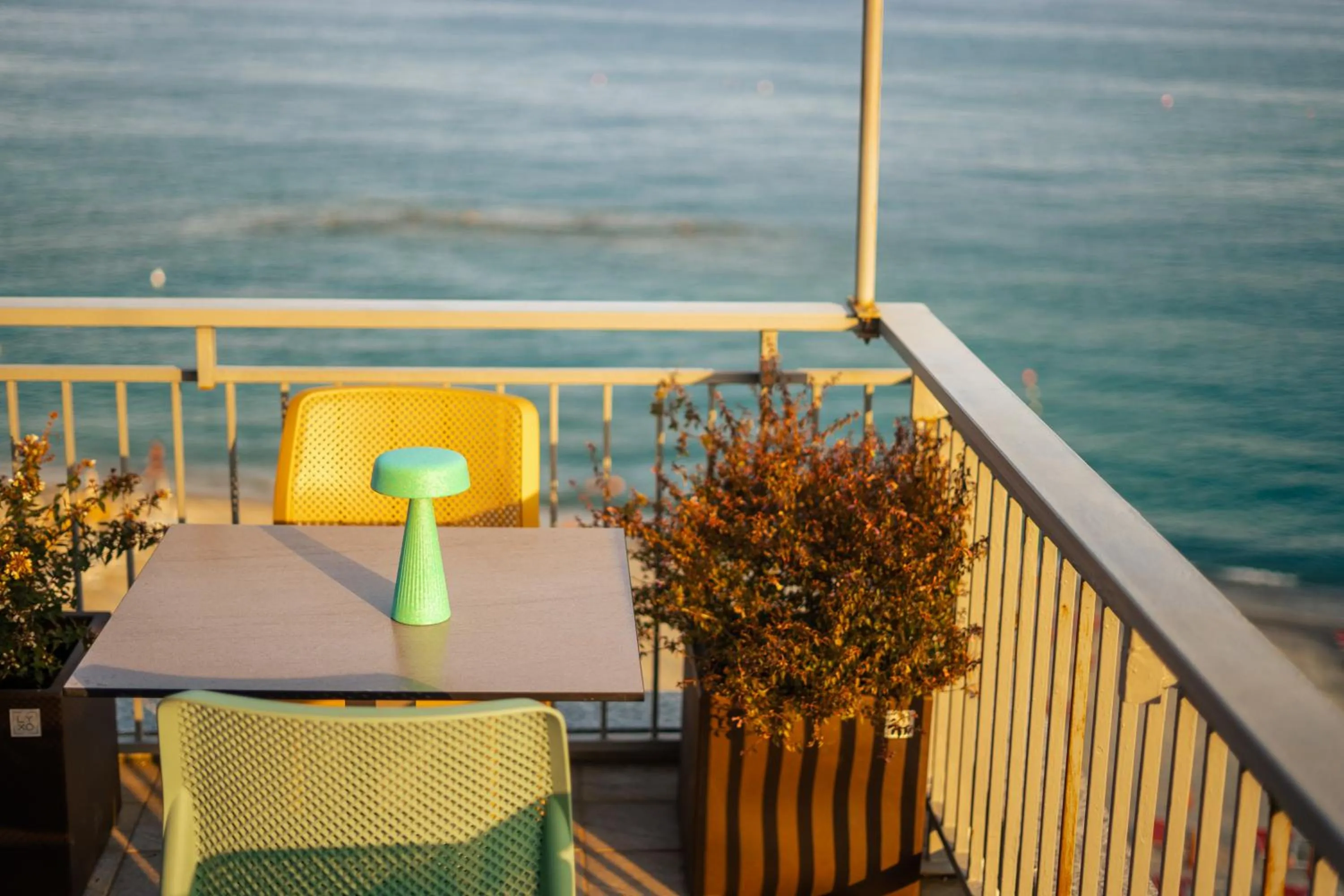 Restaurant/places to eat in Hotel Jolly Roger