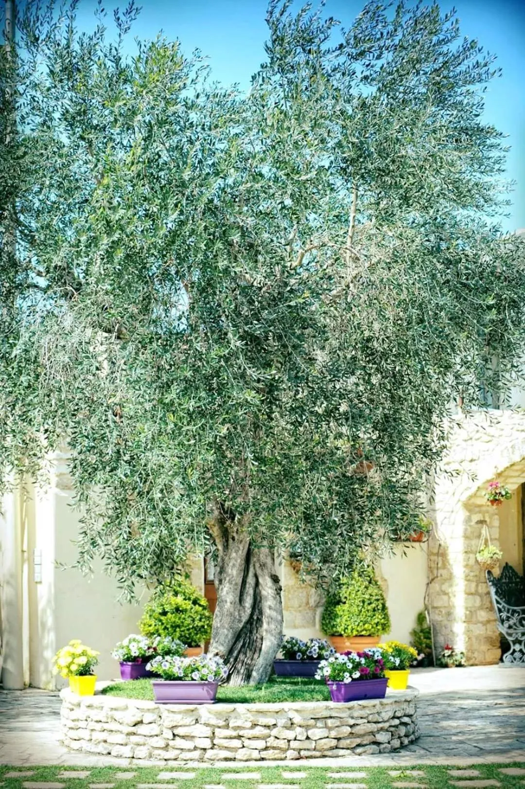 Nearby landmark in B&B Una Rotonda sul mare