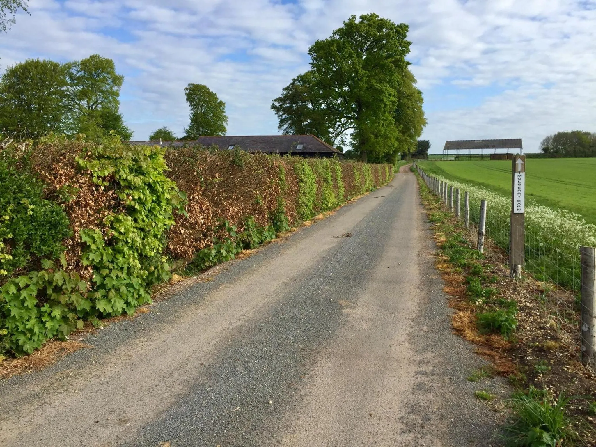 Logo/Certificate/Sign in Mulberry Barn